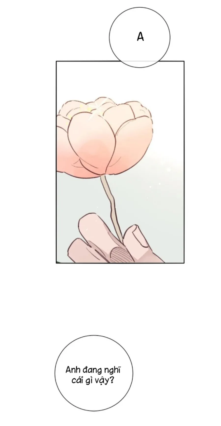 MARCEL Chapter 6 Trang 8