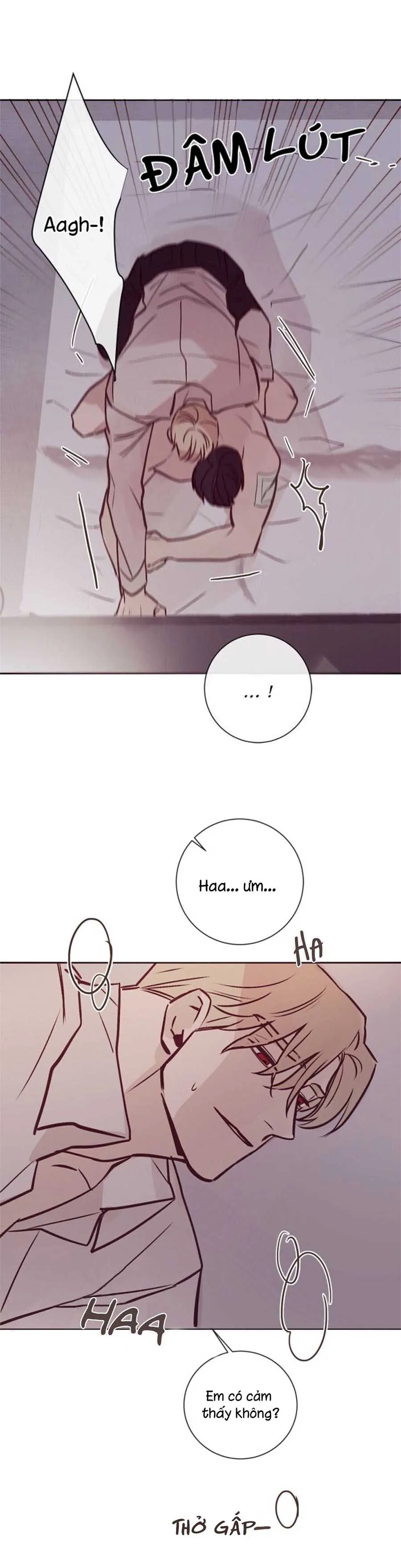 MARCEL Chapter 8 Trang 22