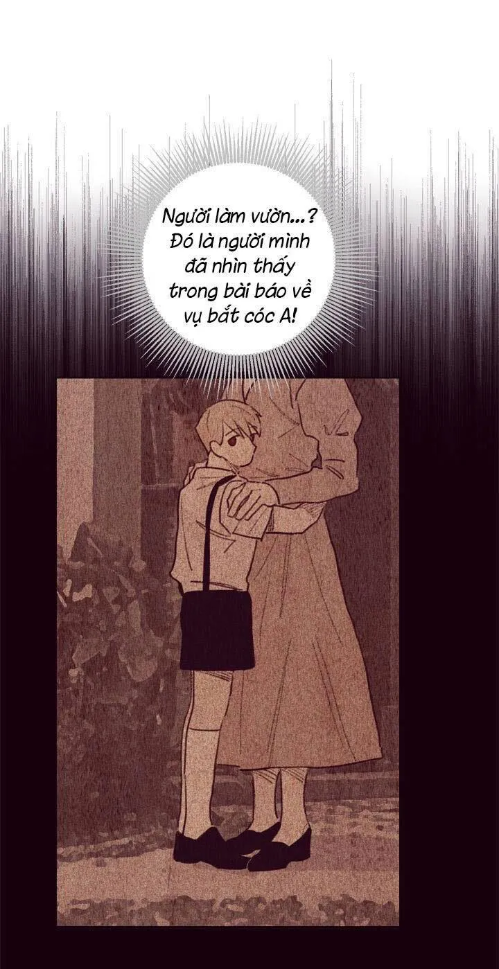 MARCEL Chapter 10 Trang 37