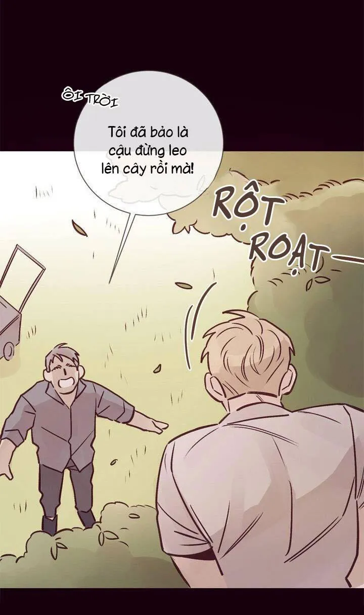 MARCEL Chapter 10 Trang 52