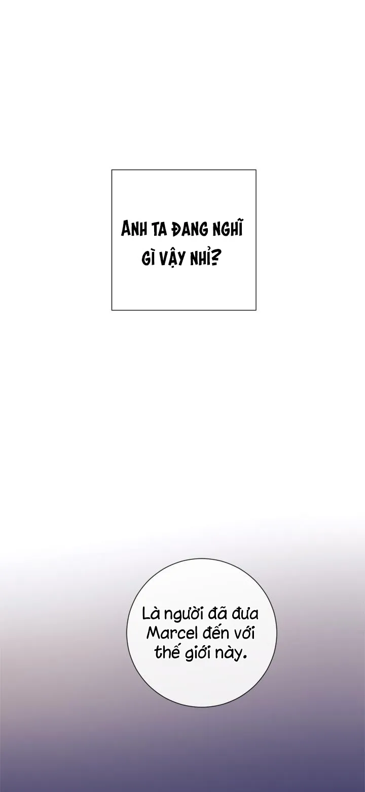 MARCEL Chapter 14 Trang 21