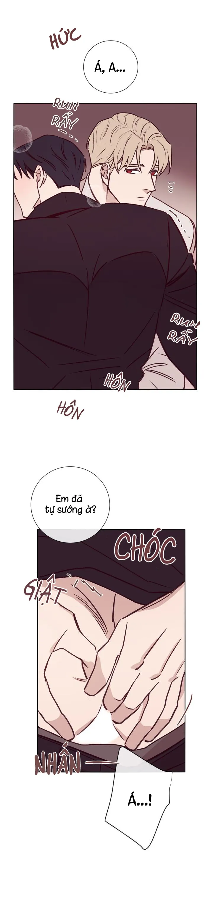 MARCEL Chapter 16 Trang 14