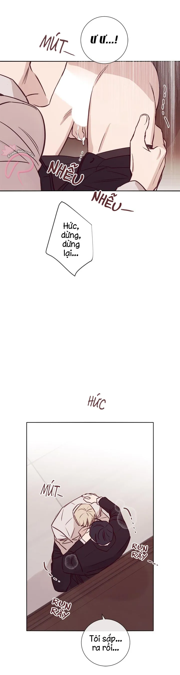 MARCEL Chapter 16 Trang 19