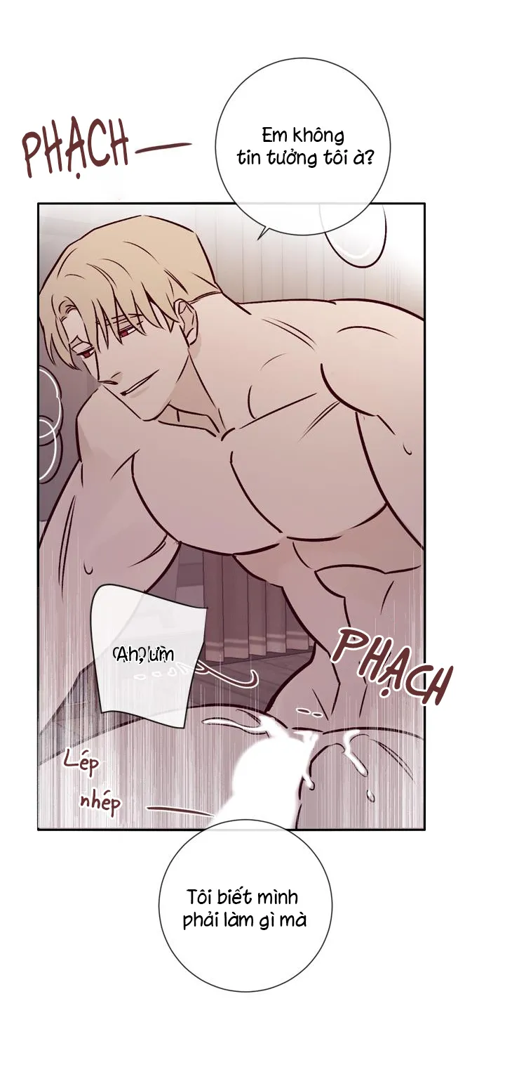 MARCEL Chapter 19 Trang 8