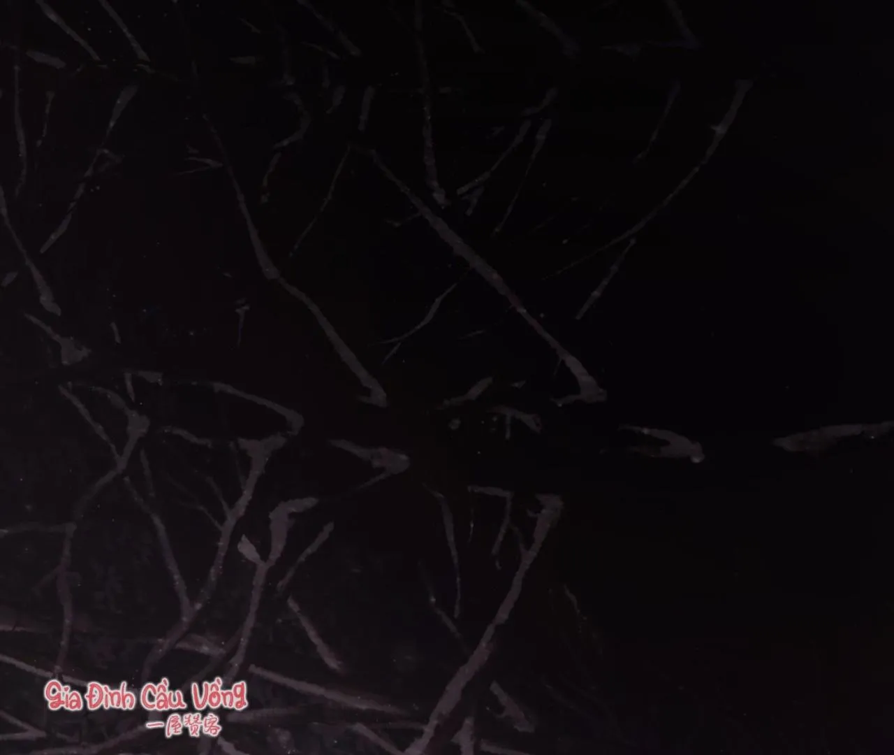 MARY JANE Chapter 7 Trang 45