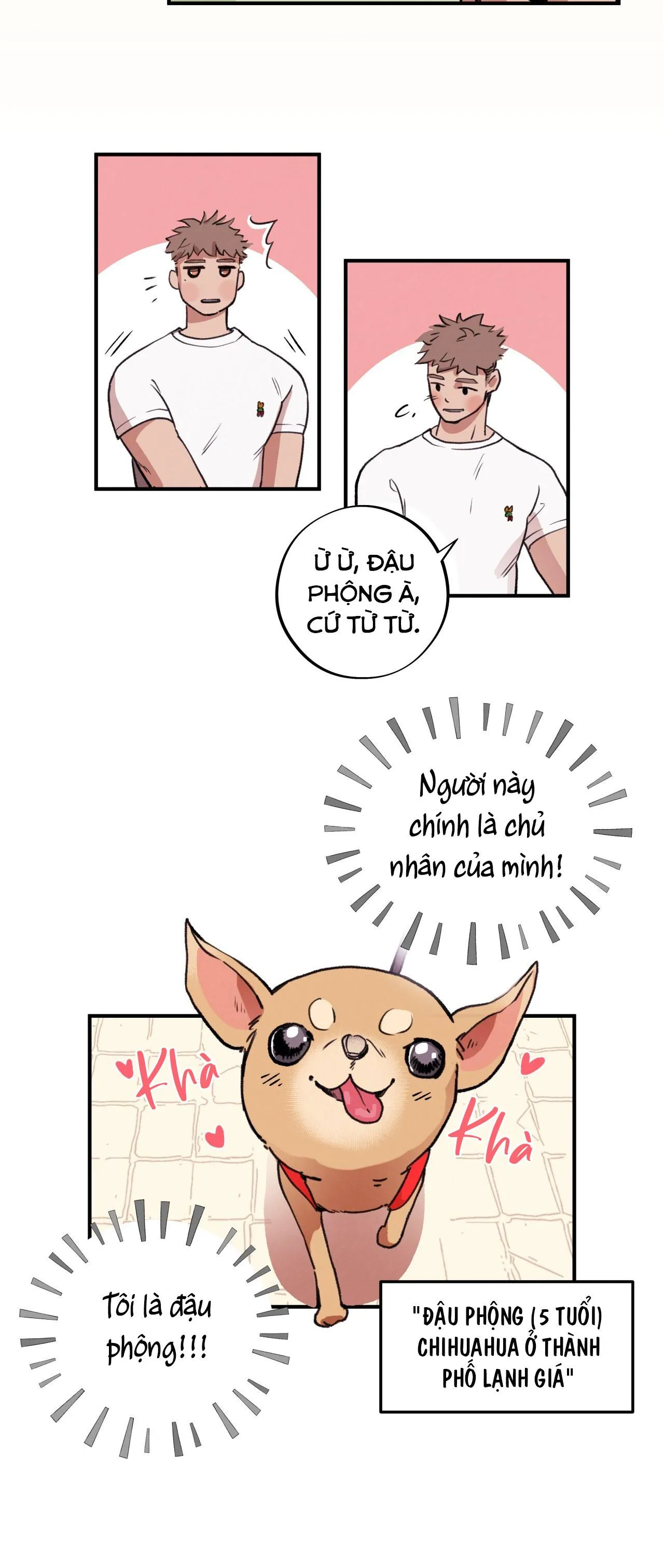 (END) MẬT GẤU Chapter 1 Trang 4