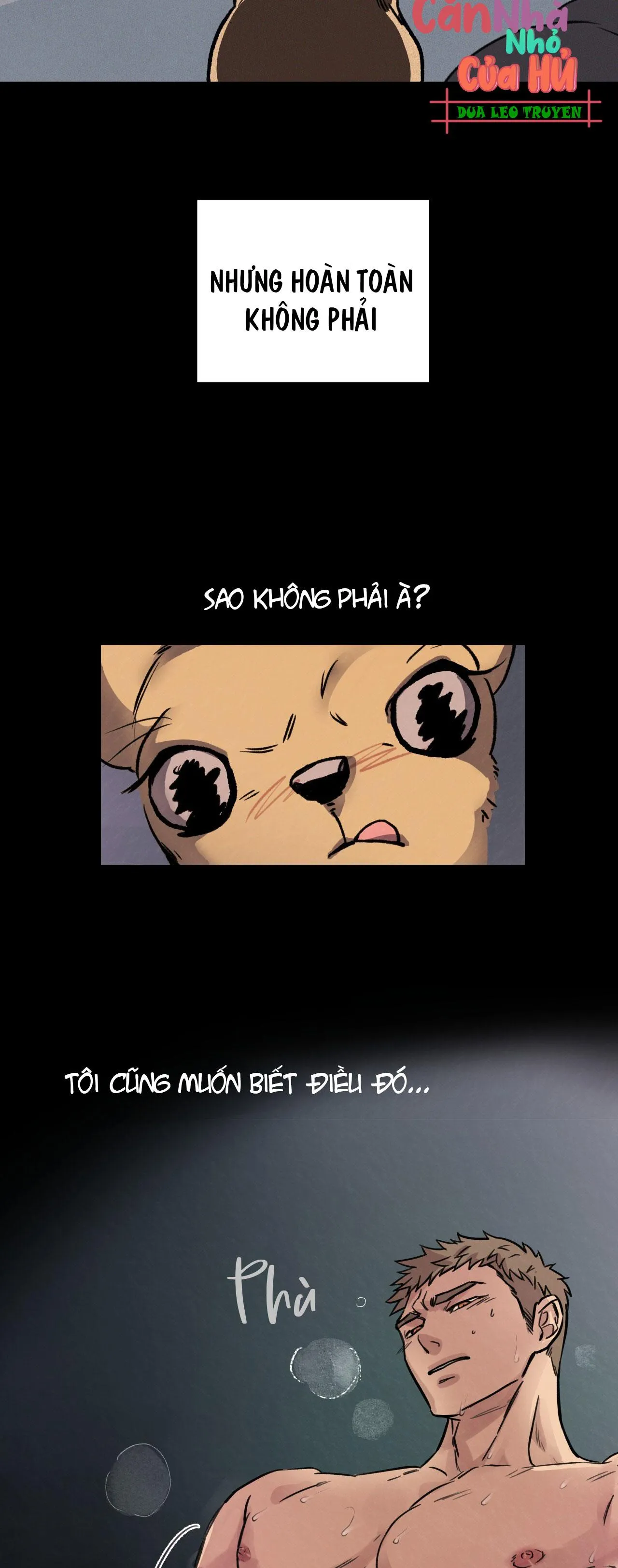 (END) MẬT GẤU Chapter 1 Trang 8