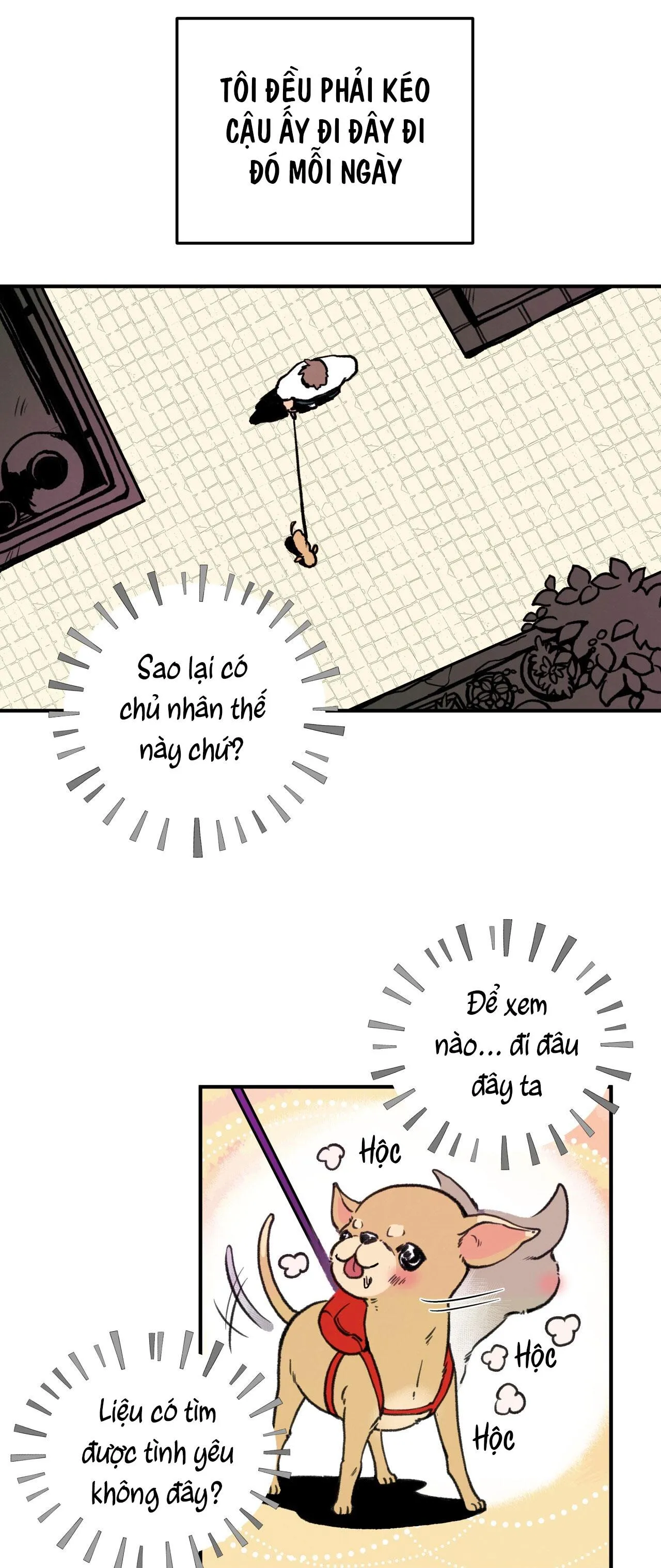 (END) MẬT GẤU Chapter 1 Trang 12