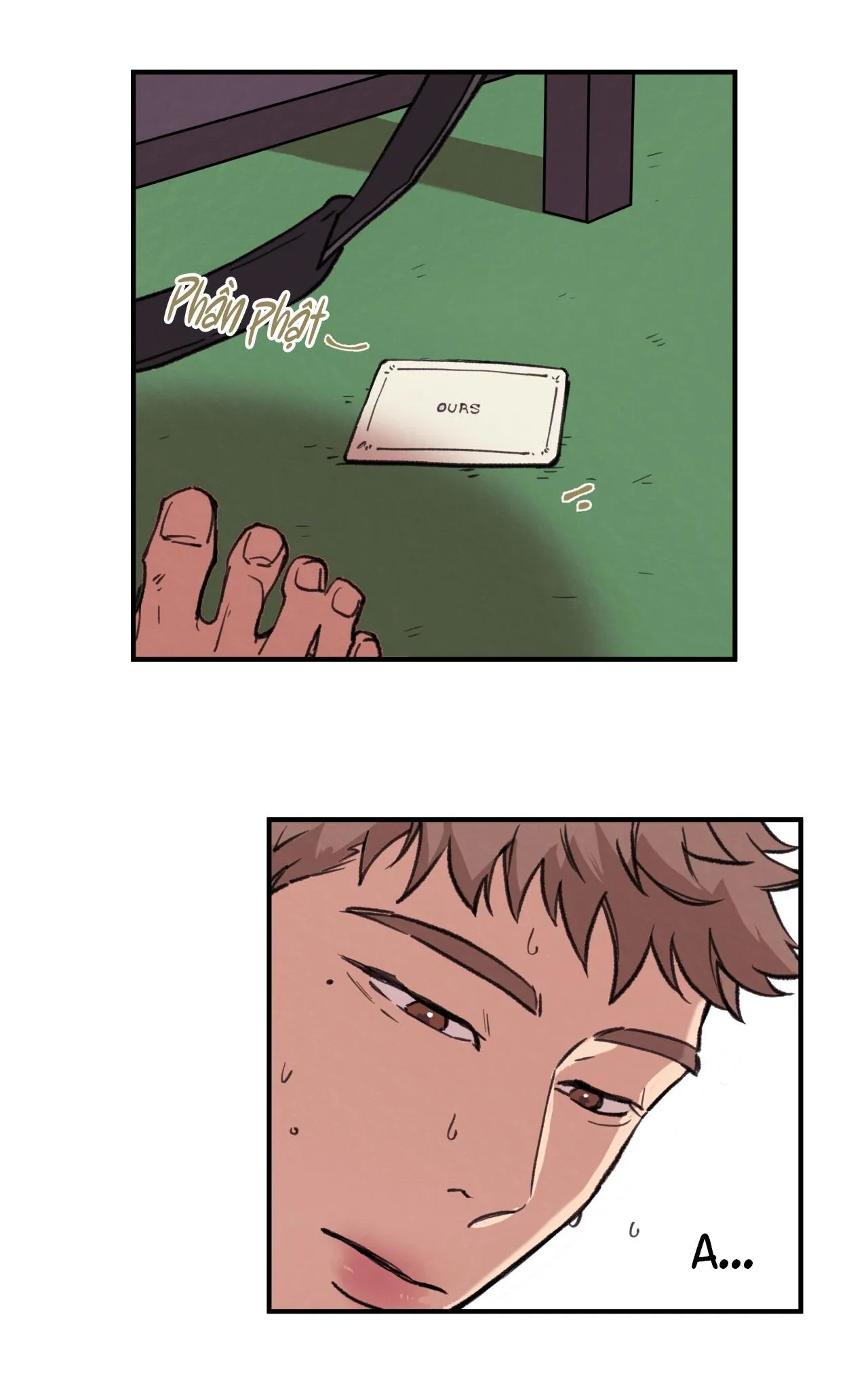 (END) MẬT GẤU Chapter 2 Trang 5