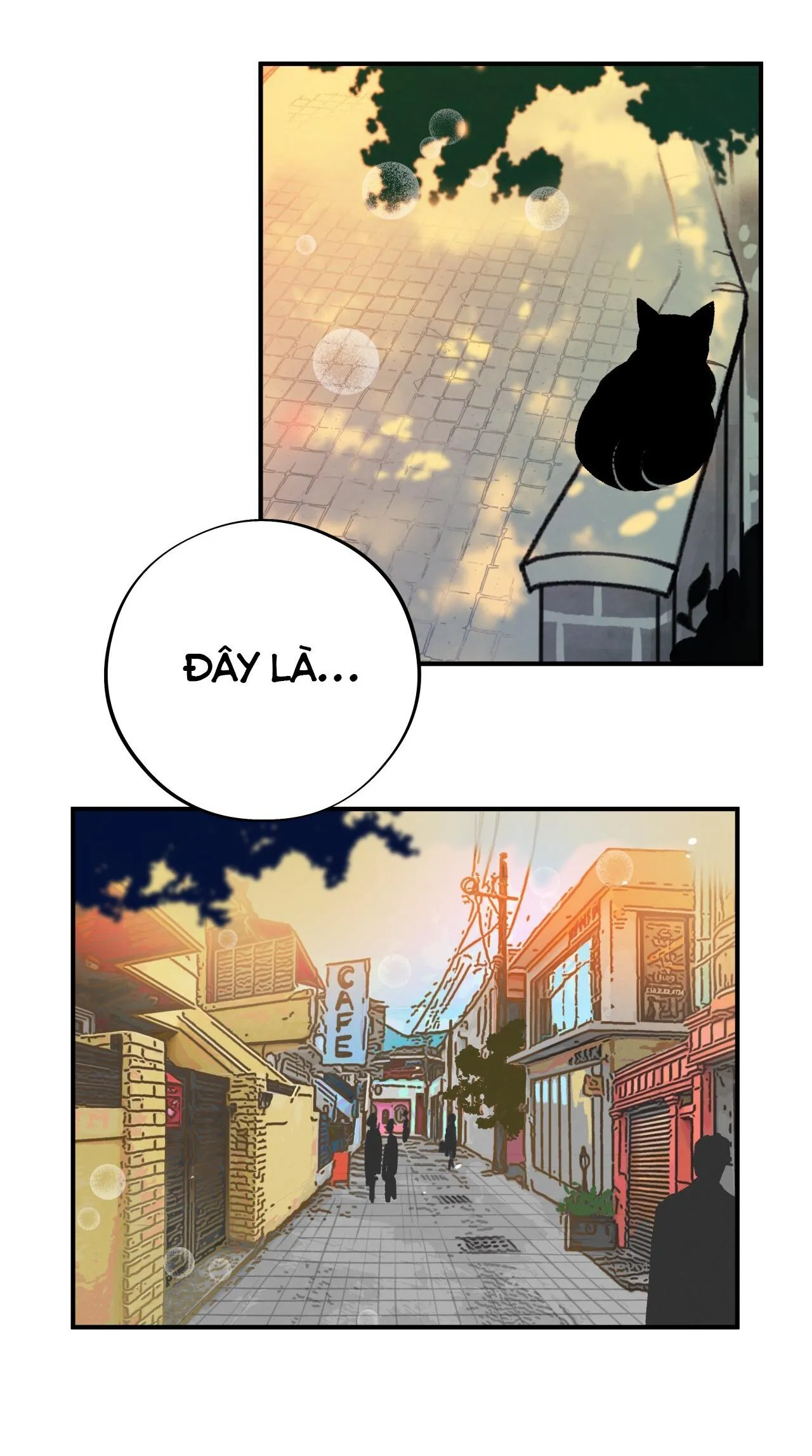 (END) MẬT GẤU Chapter 2 Trang 20