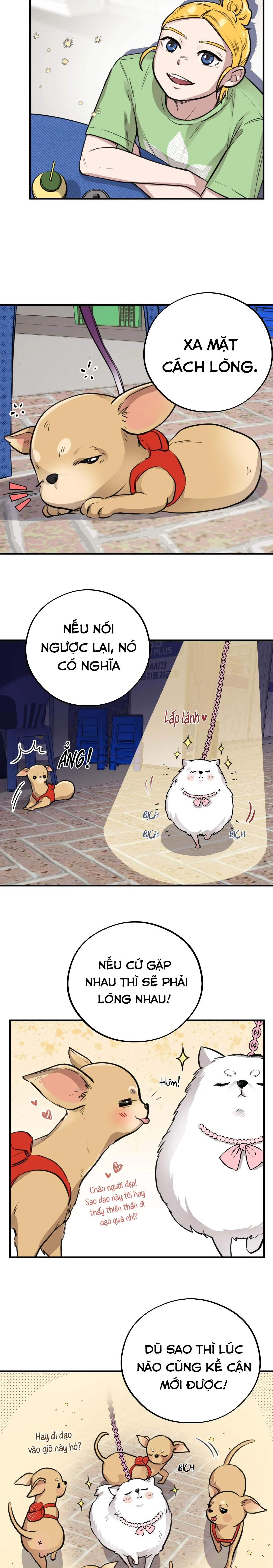 (END) MẬT GẤU Chapter 4 Trang 13