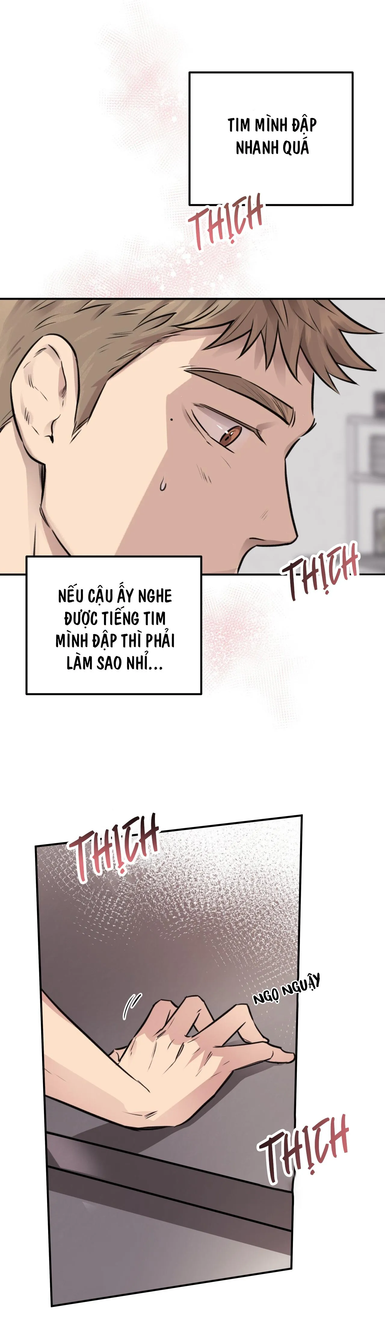 (END) MẬT GẤU Chapter 8 Trang 10