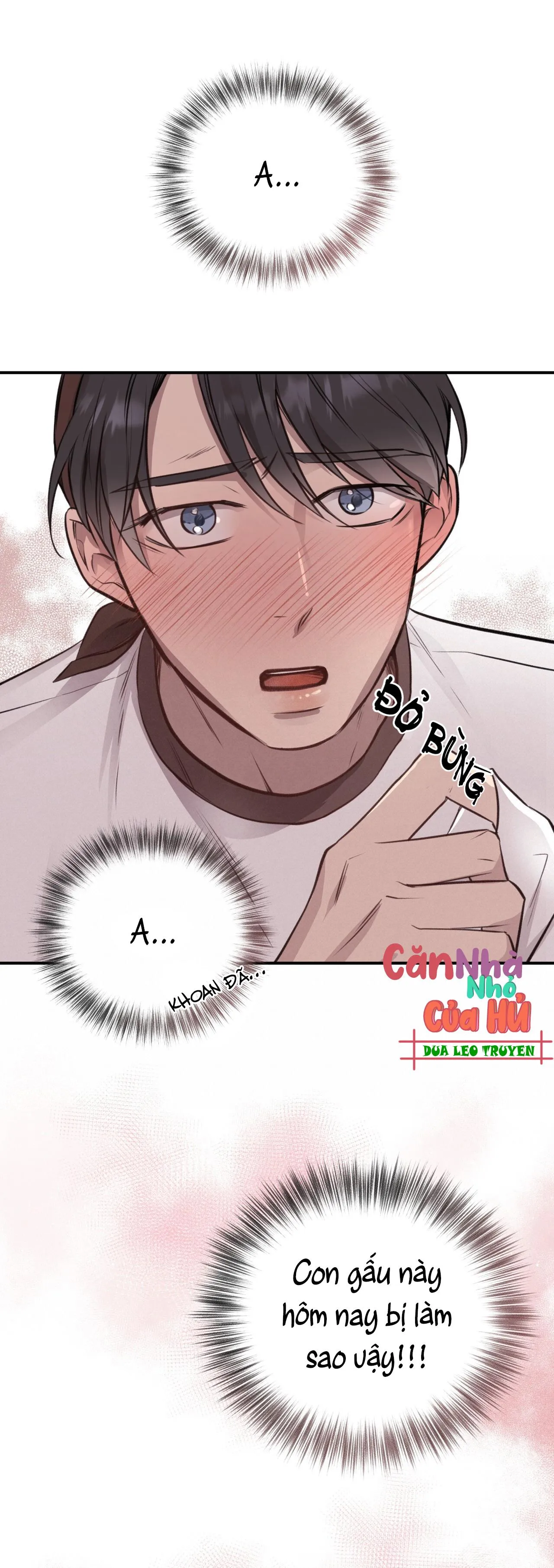 (END) MẬT GẤU Chapter 8 Trang 14