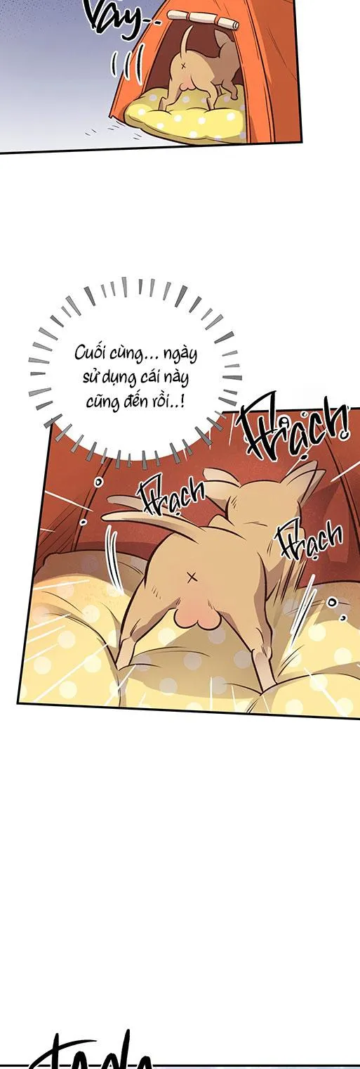 (END) MẬT GẤU Chapter 26 Trang 71