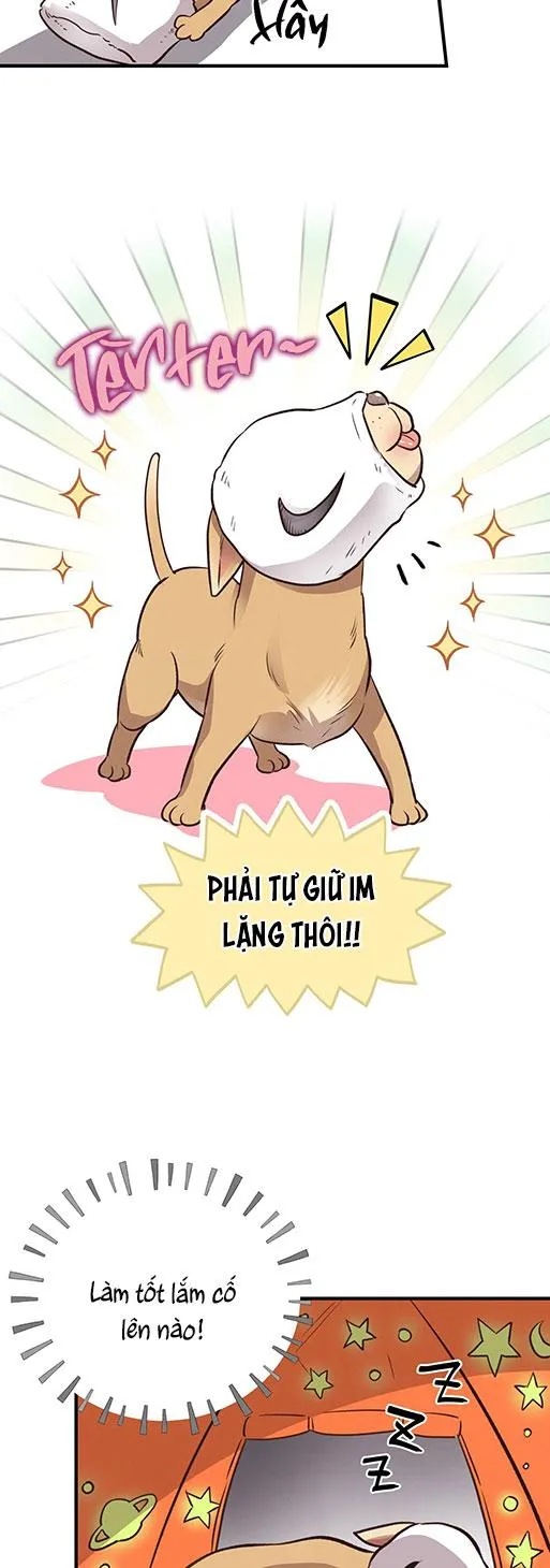 (END) MẬT GẤU Chapter 26 Trang 73