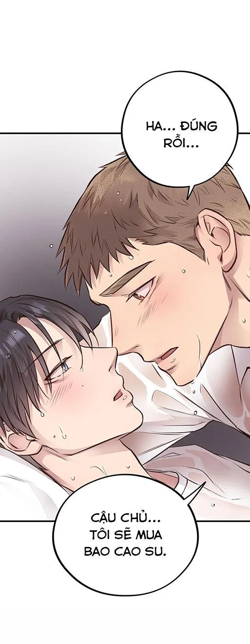 (END) MẬT GẤU Chapter 26 Trang 77