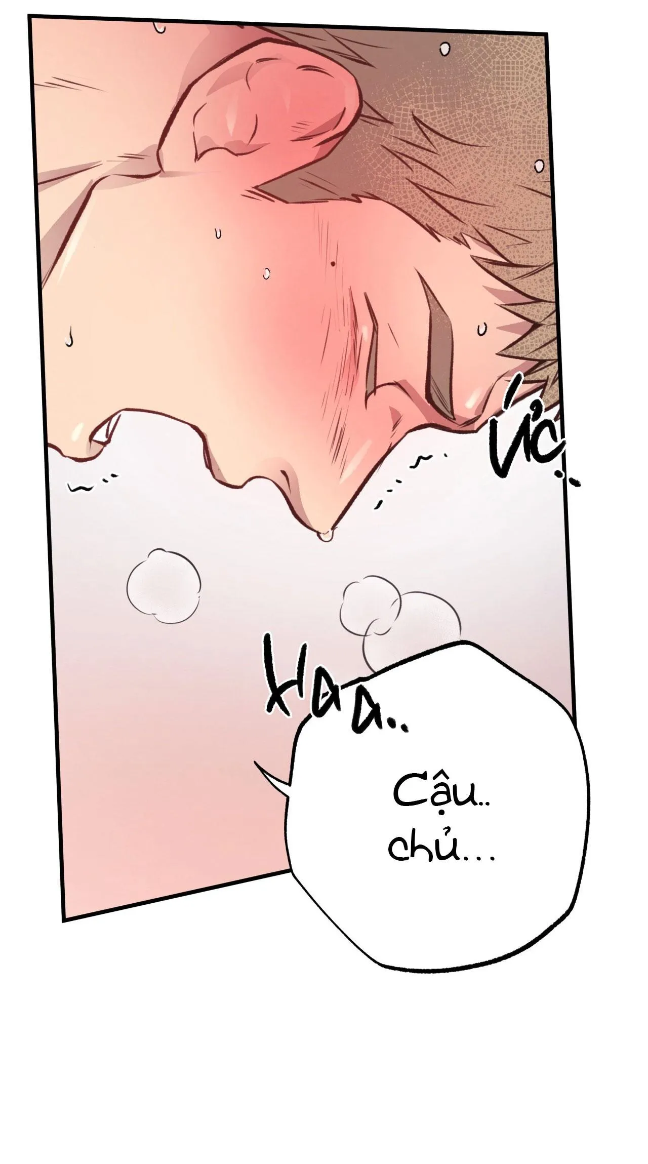 (END) MẬT GẤU Chapter 28 Trang 9