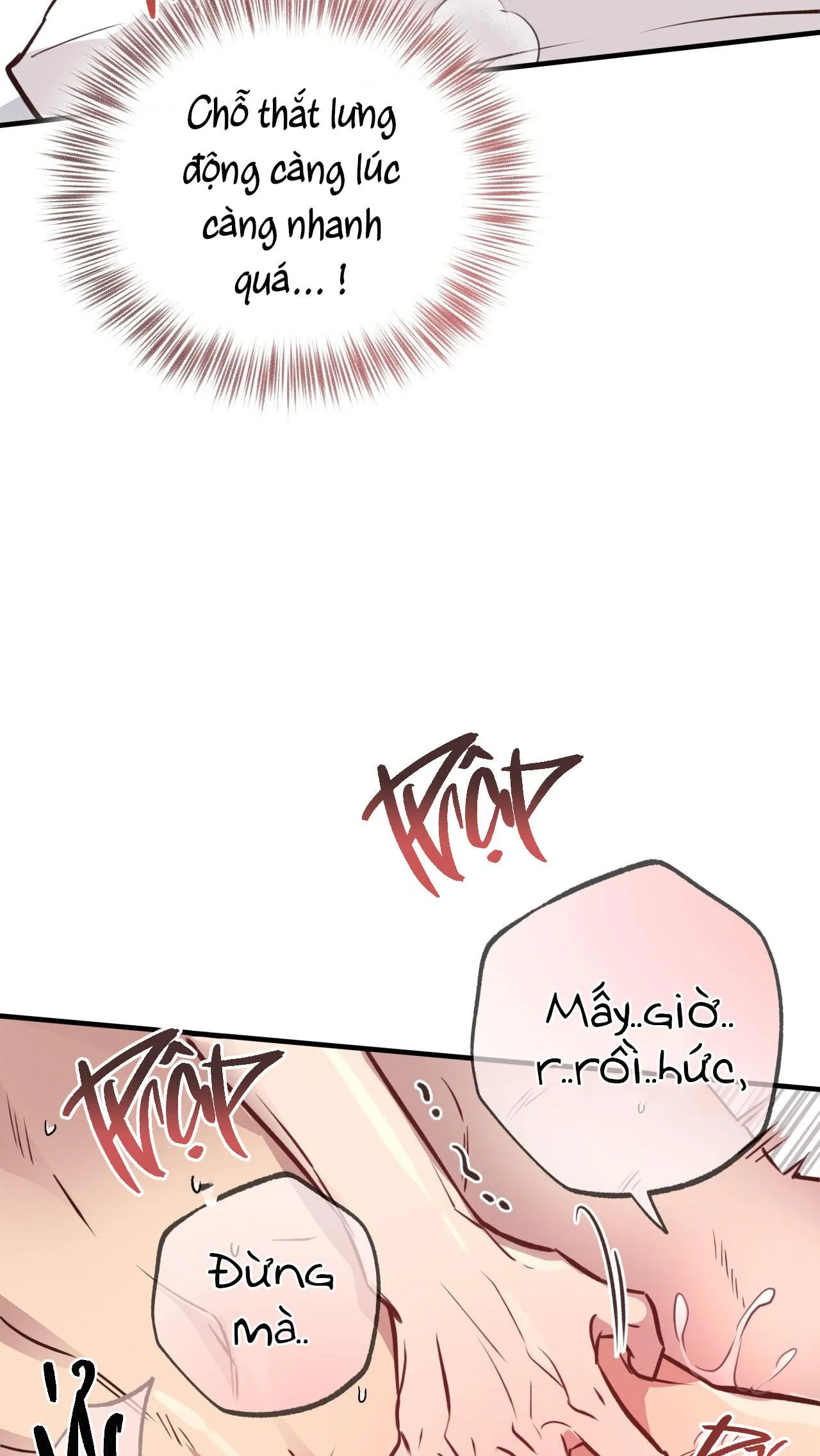 (END) MẬT GẤU Chapter 29 Trang 7