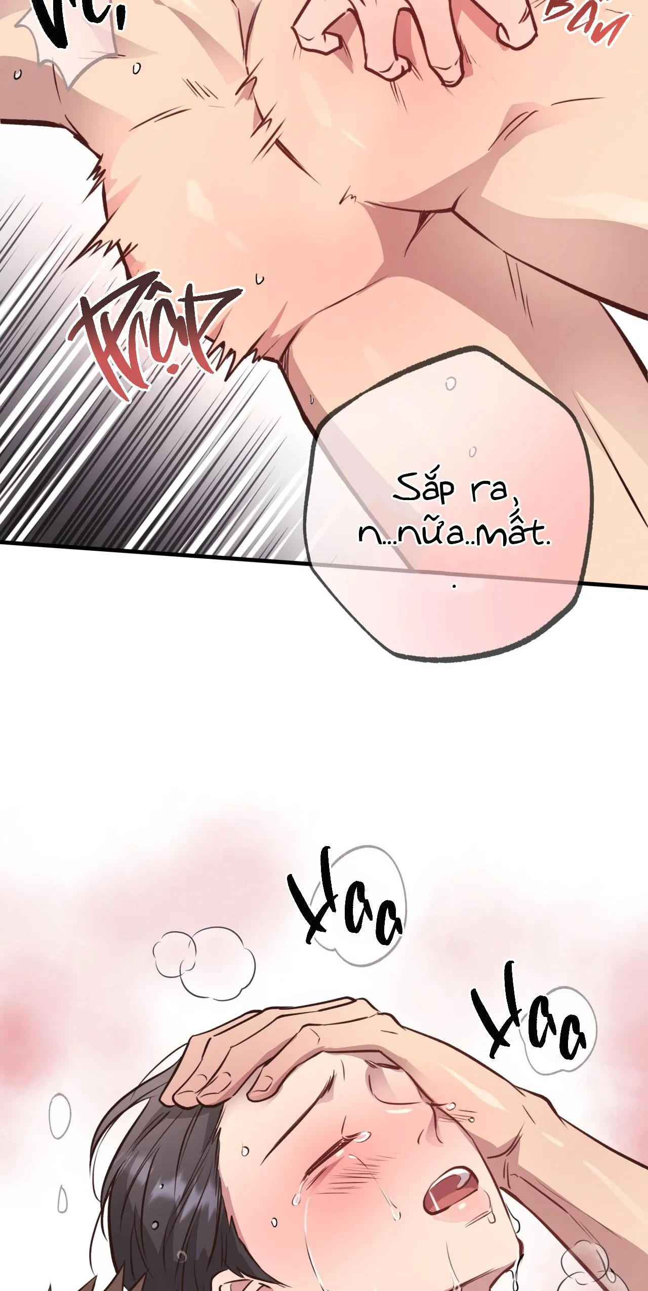 (END) MẬT GẤU Chapter 29 Trang 8