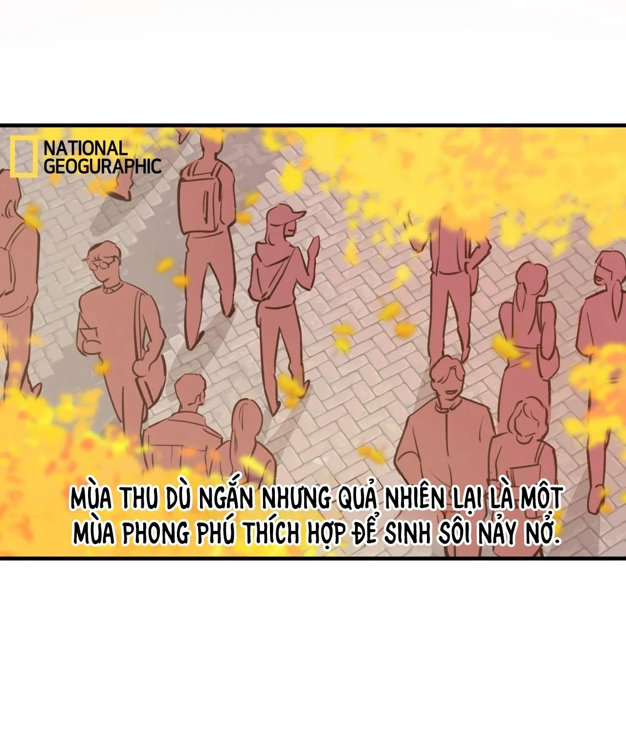 (END) MẬT GẤU Chapter 31 Trang 4