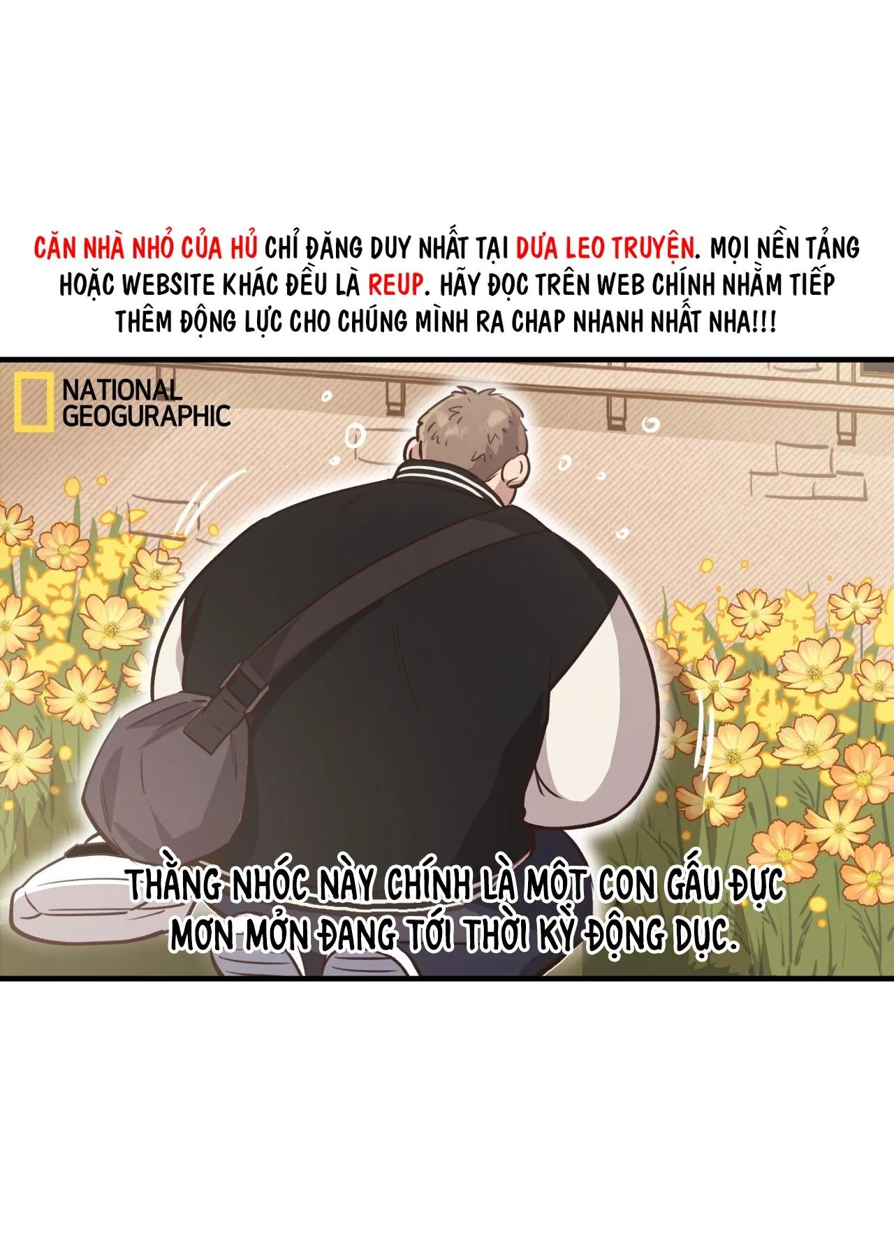 (END) MẬT GẤU Chapter 31 Trang 7