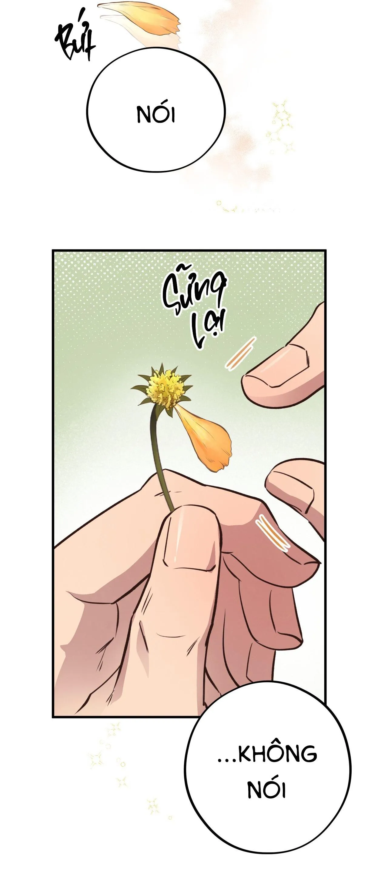 (END) MẬT GẤU Chapter 31 Trang 13