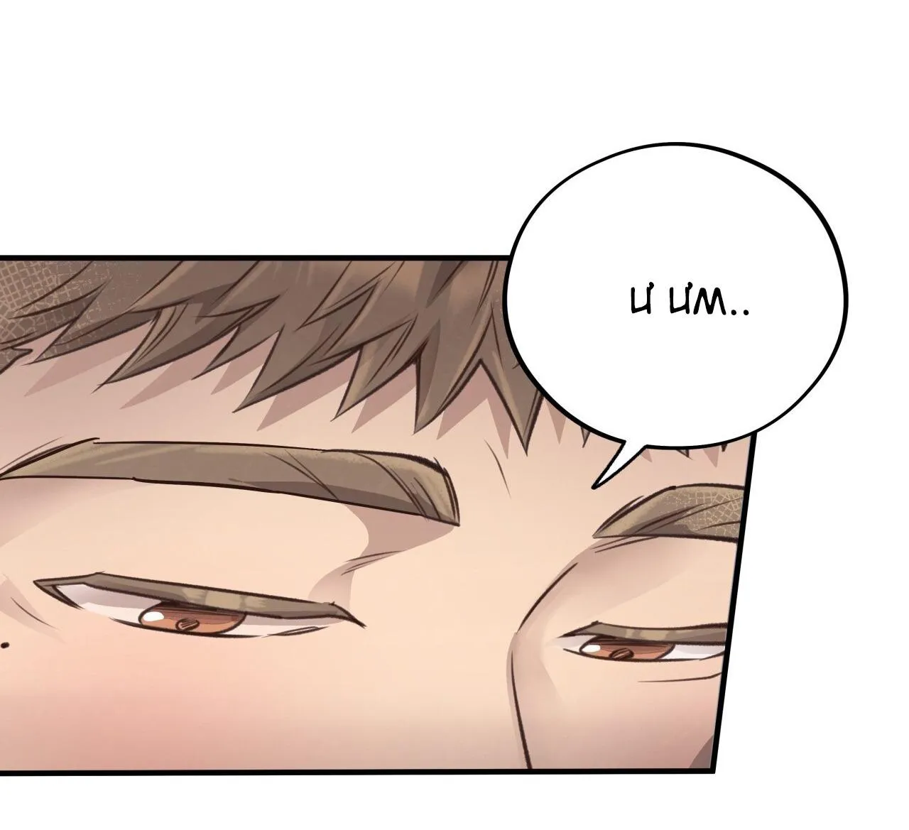 (END) MẬT GẤU Chapter 34 Trang 19