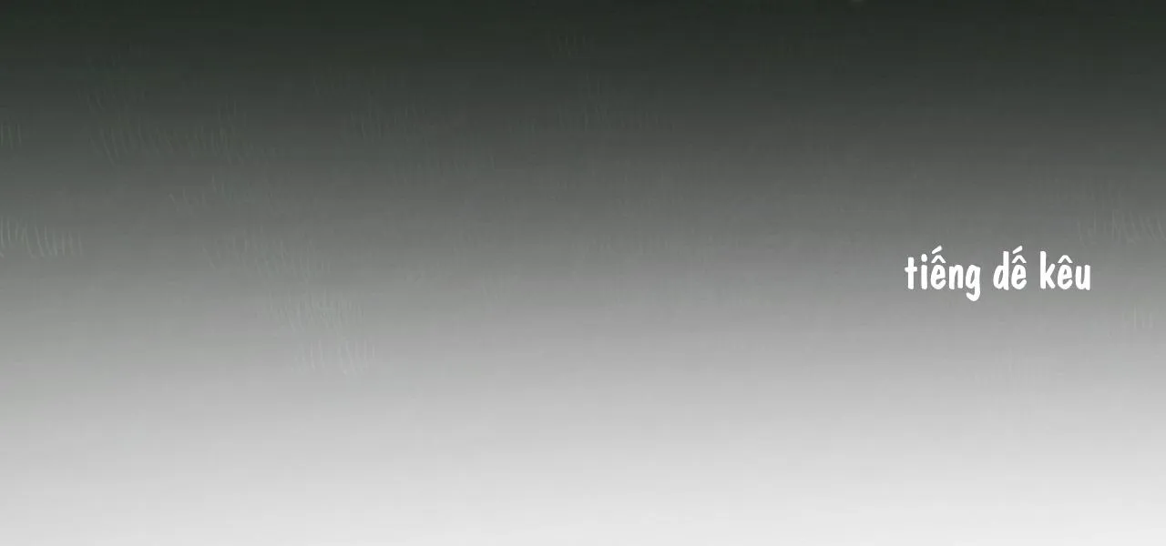 (END) MẬT GẤU Chapter 37 Trang 42