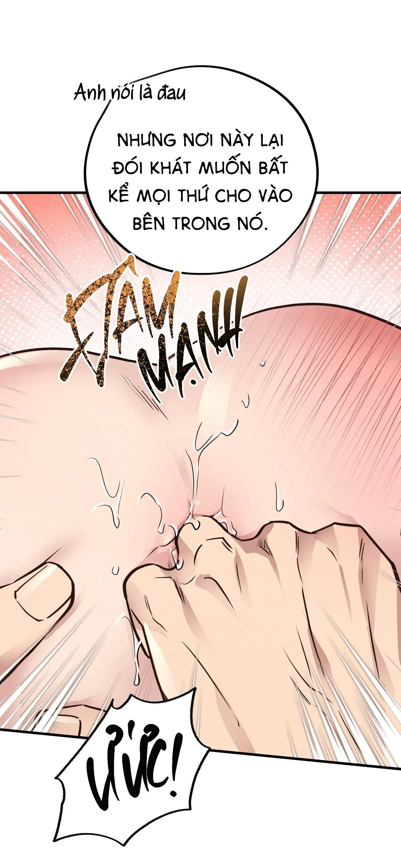 (END) MẬT GẤU Chapter 41 Trang 27