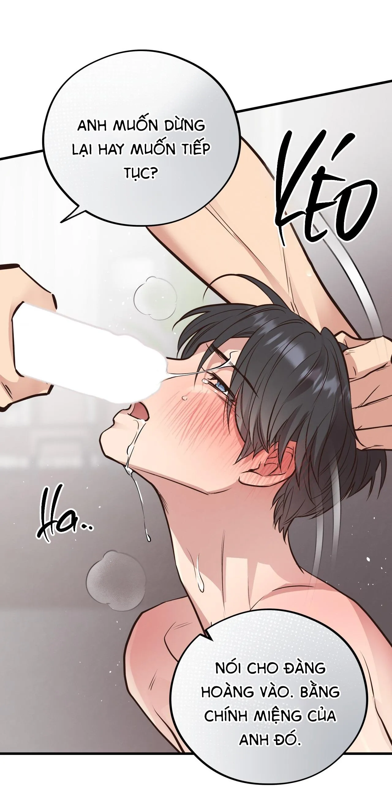 (END) MẬT GẤU Chapter 41 Trang 37