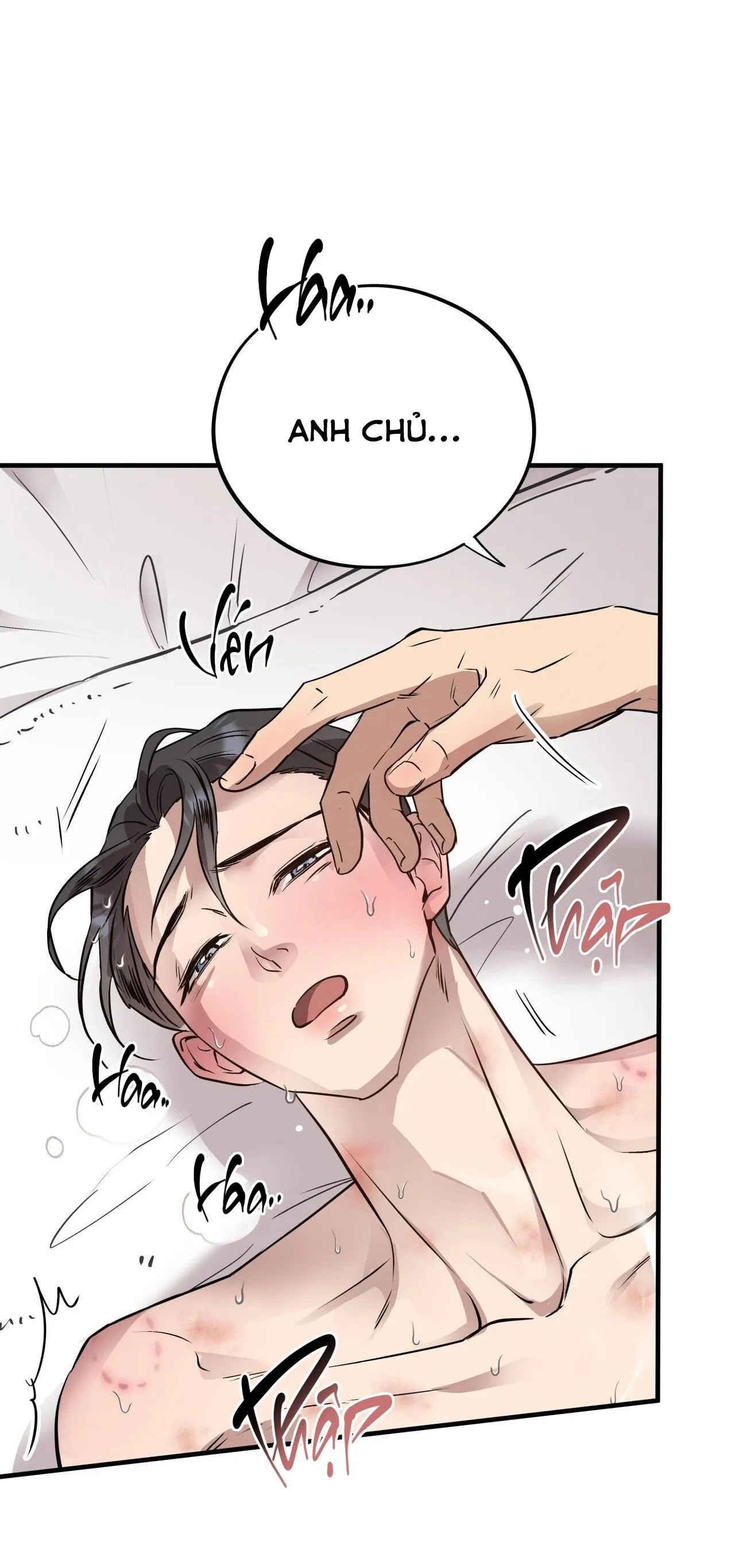 (END) MẬT GẤU Chapter 50 Trang 23