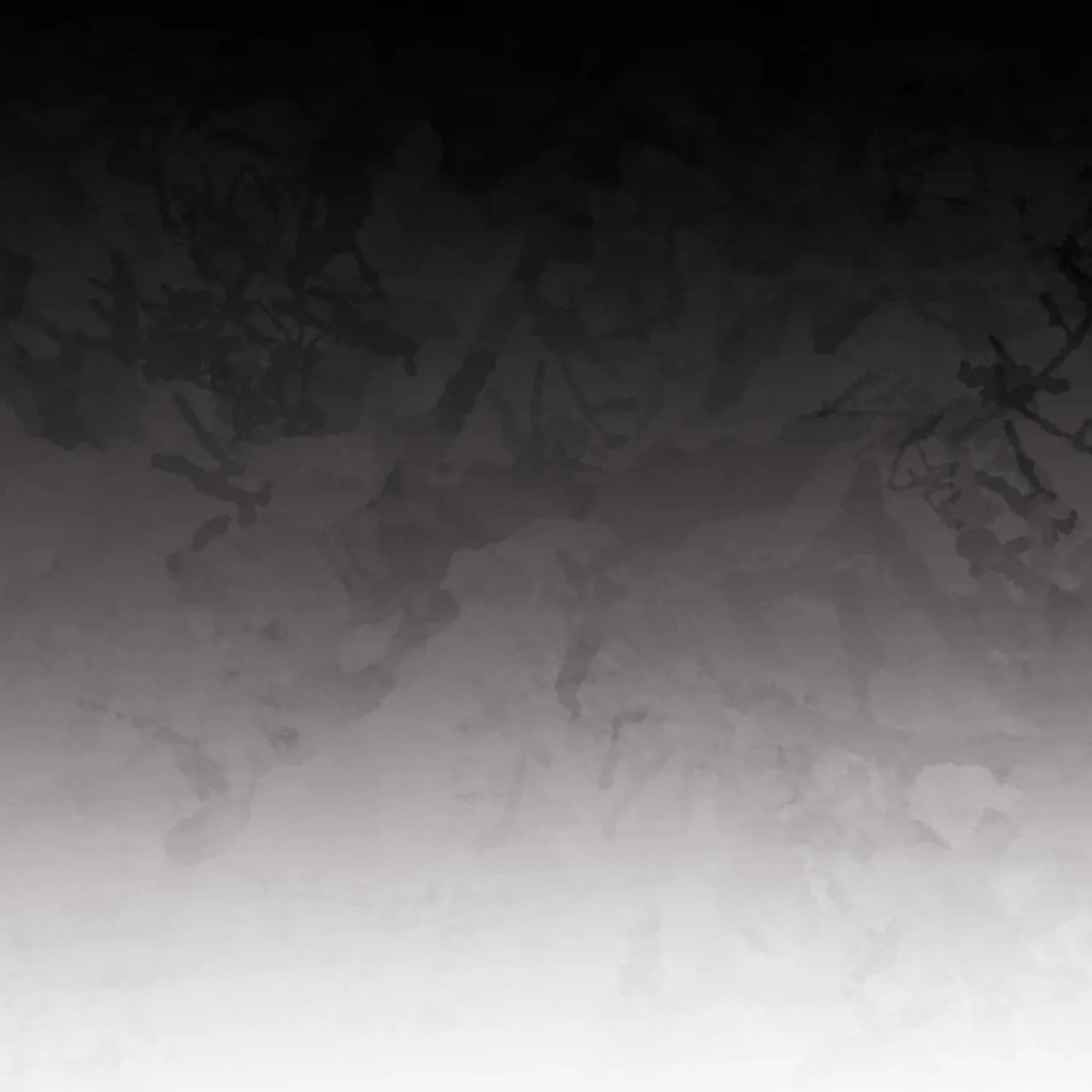 (END) MẬT GẤU Chapter 51 Trang 50