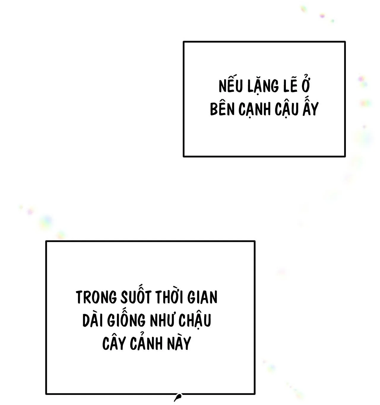 (END) MẬT GẤU Chapter 52 Trang 4