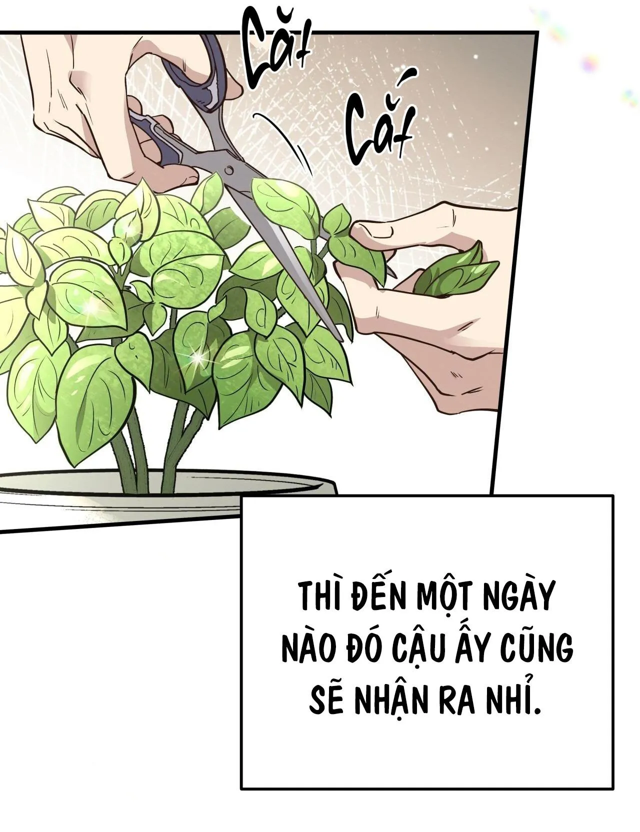 (END) MẬT GẤU Chapter 52 Trang 5