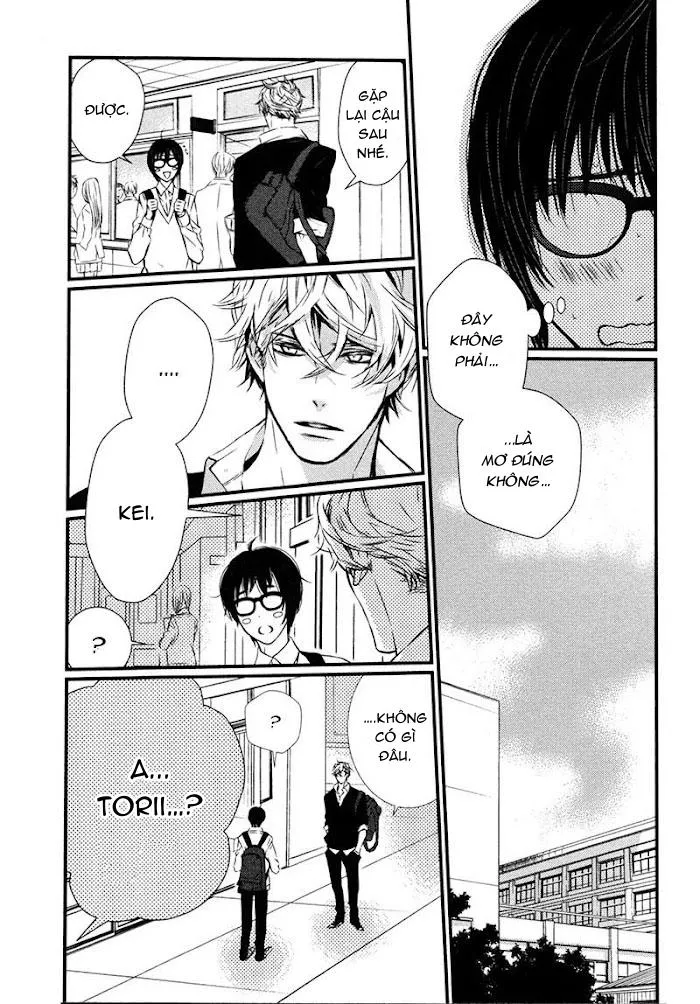MẮT KÍNH, TÌNH YÊU VÀ CHIM XANH Chapter 2 Trang 6
