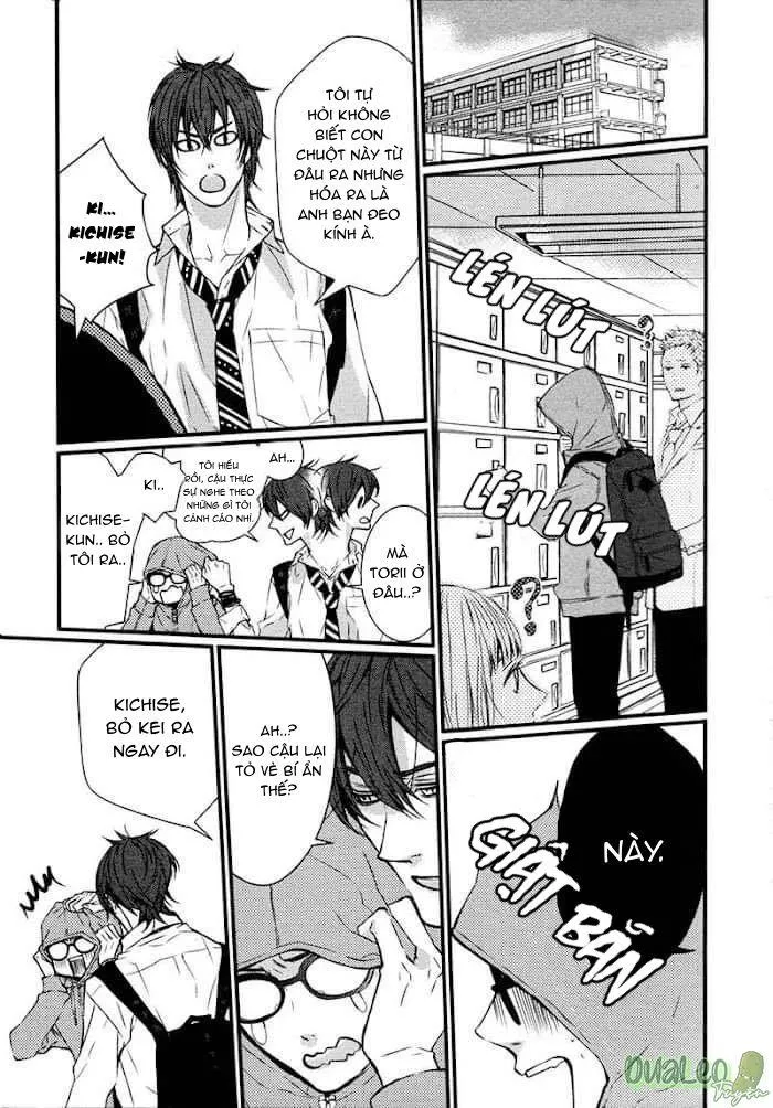 MẮT KÍNH, TÌNH YÊU VÀ CHIM XANH Chapter 2 Trang 23