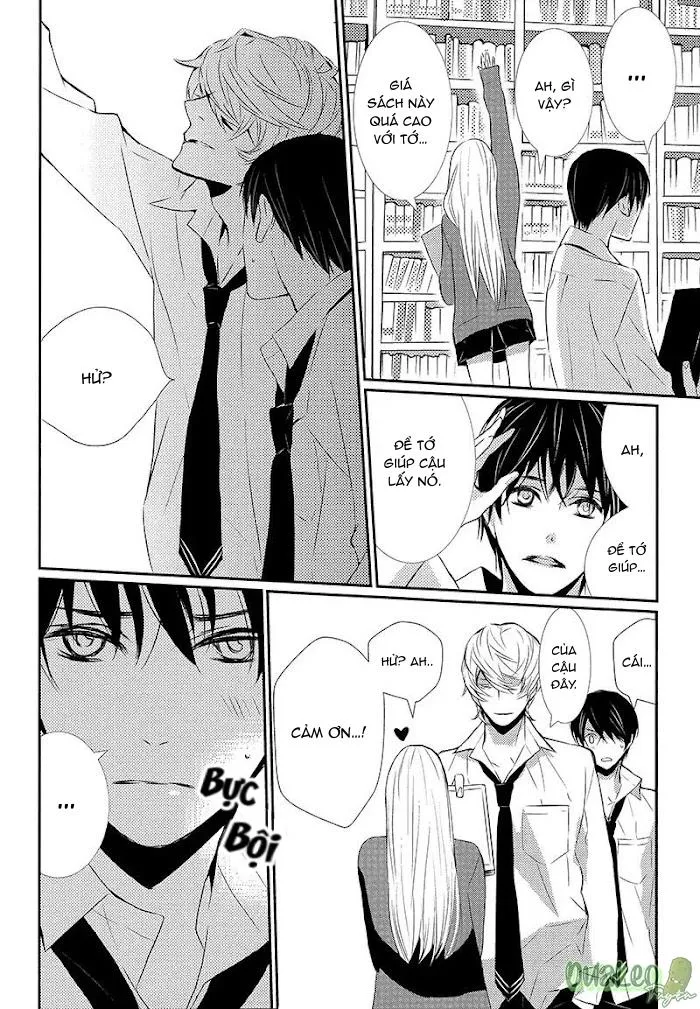 MẮT KÍNH, TÌNH YÊU VÀ CHIM XANH Chapter 4 Trang 15