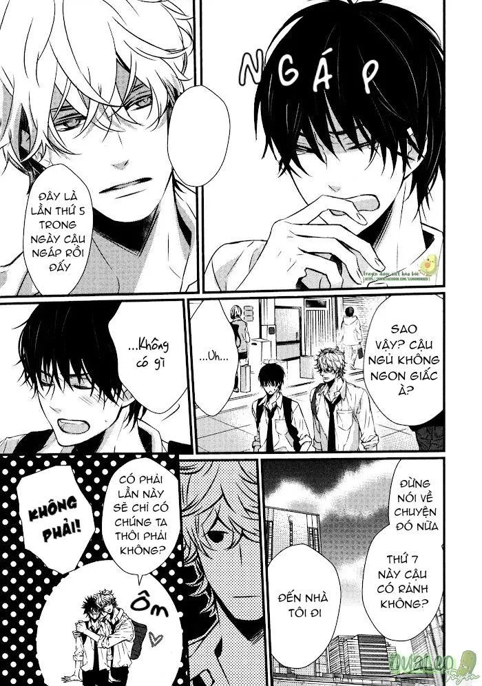 MẮT KÍNH, TÌNH YÊU VÀ CHIM XANH Chapter 6 Trang 3