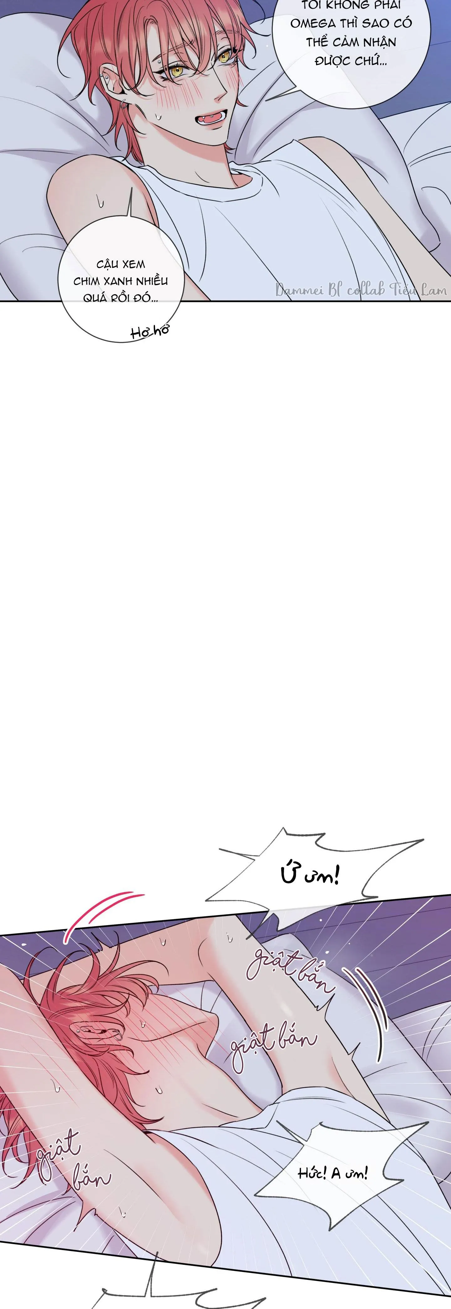 MẬT ONG NHÀ LÀM Chapter 5 Trang 11