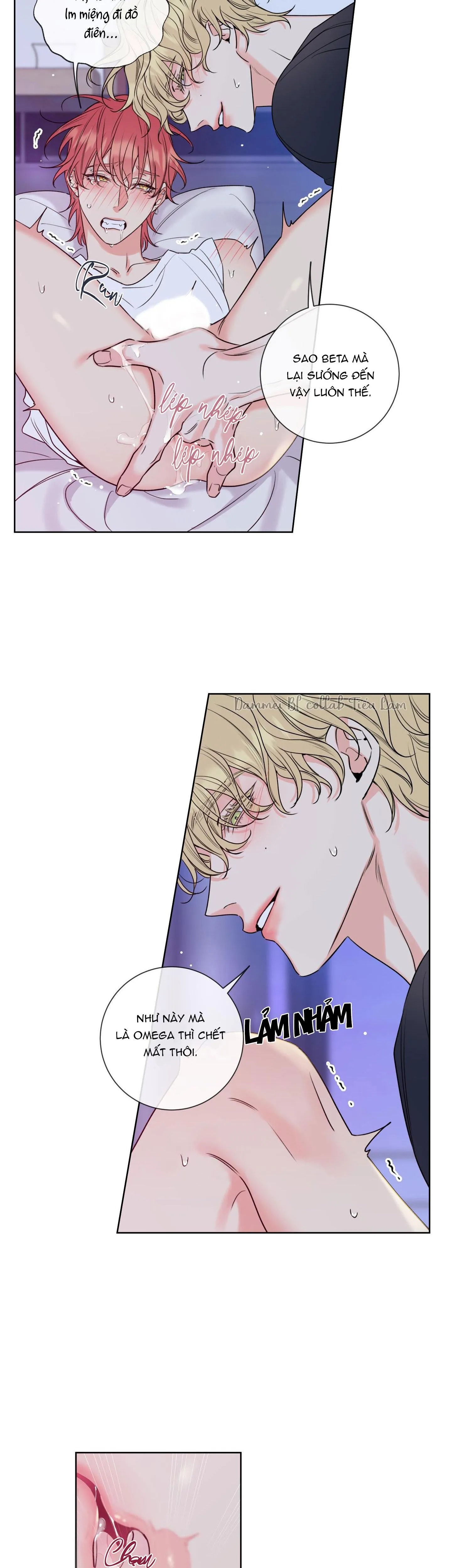 MẬT ONG NHÀ LÀM Chapter 5 Trang 14