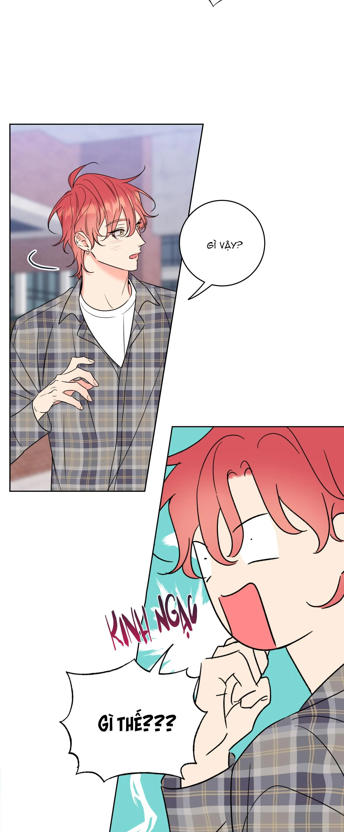 MẬT ONG NHÀ LÀM Chapter 20 Trang 14