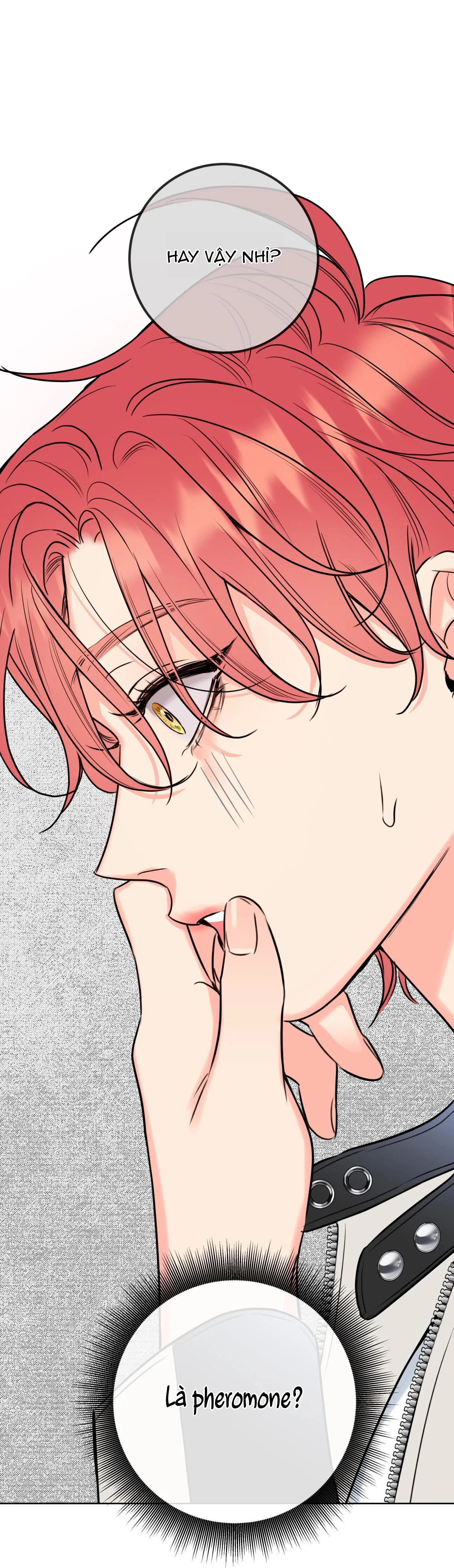 MẬT ONG NHÀ LÀM Chapter 23 Trang 66