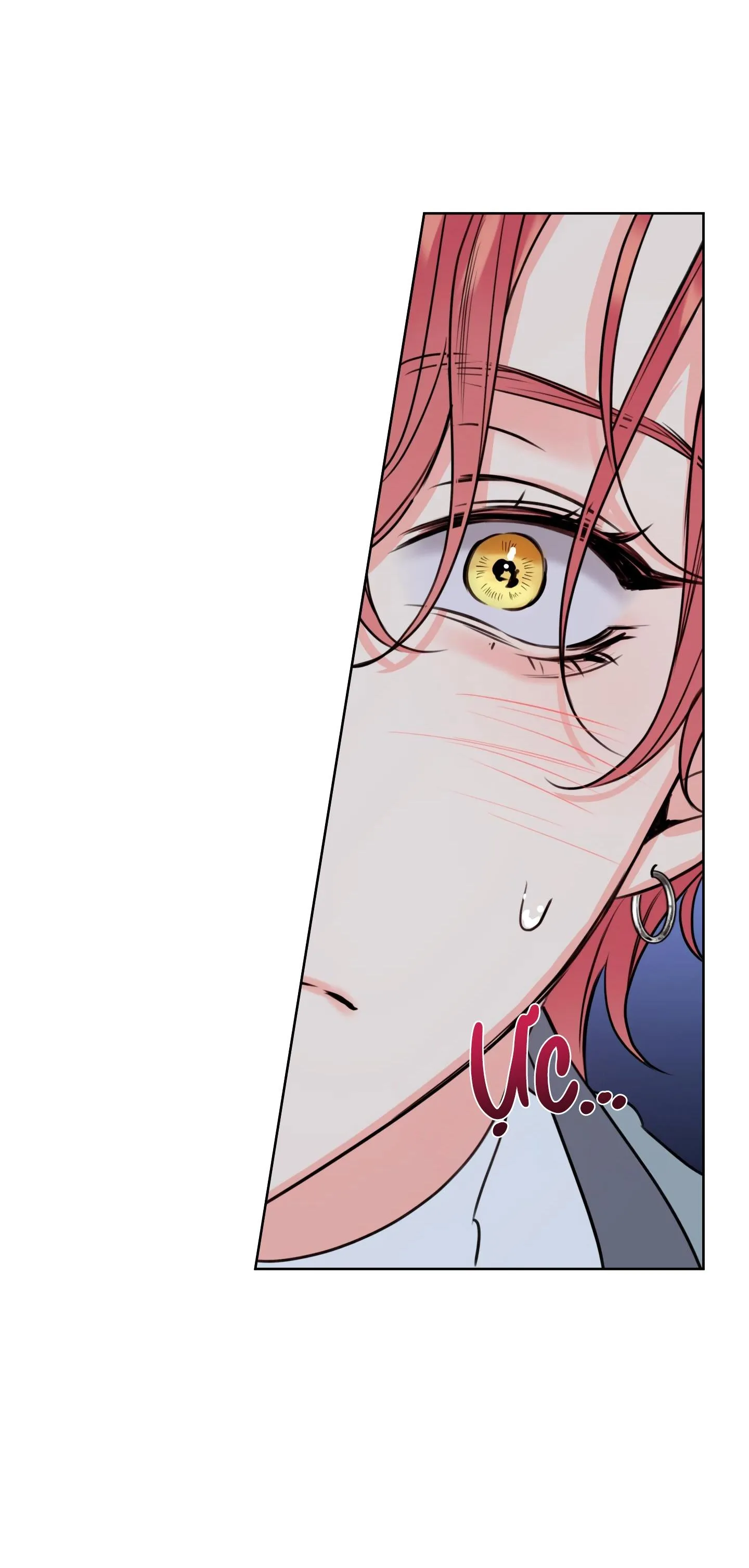 MẬT ONG NHÀ LÀM Chapter 28 Trang 15