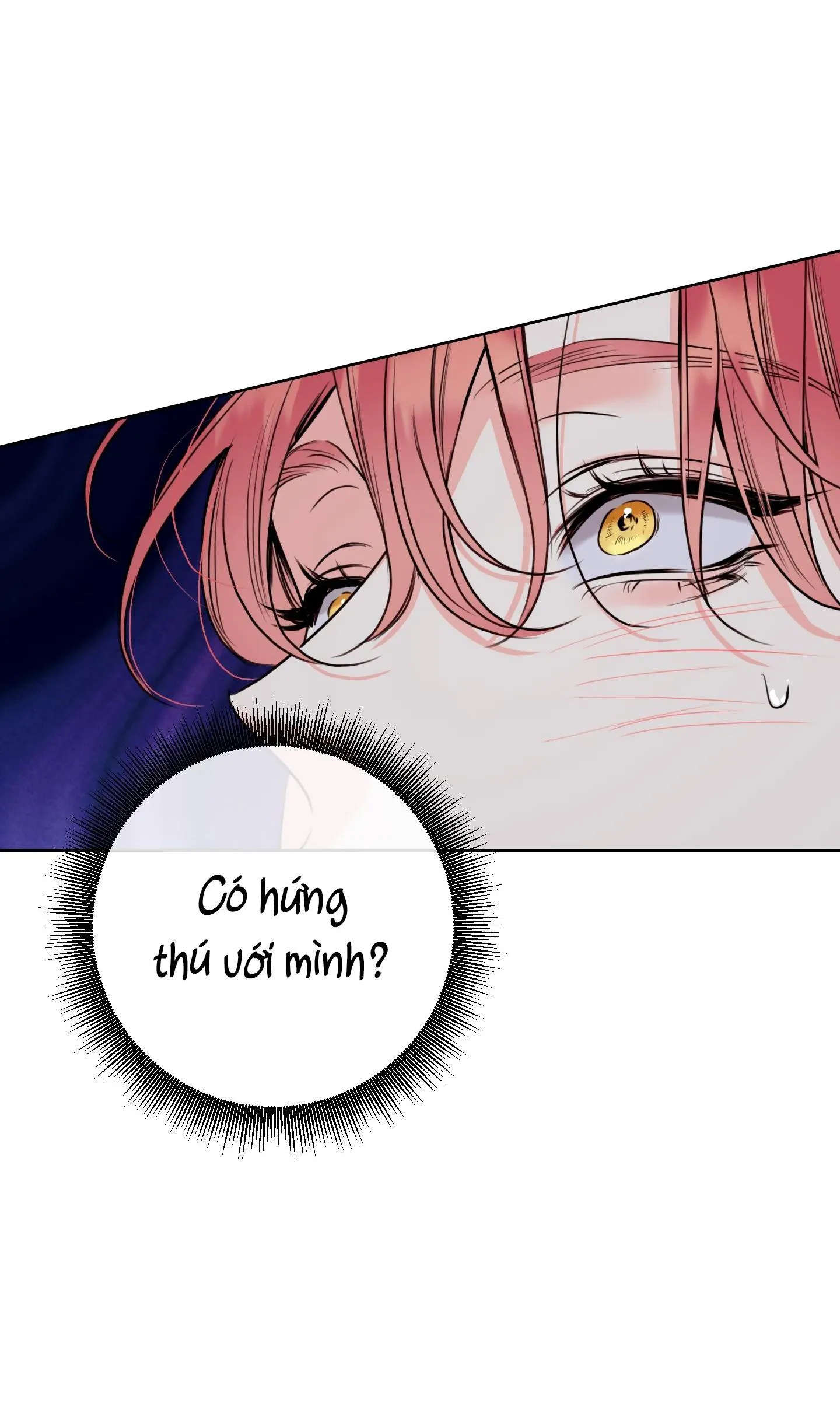 MẬT ONG NHÀ LÀM Chapter 28 Trang 19