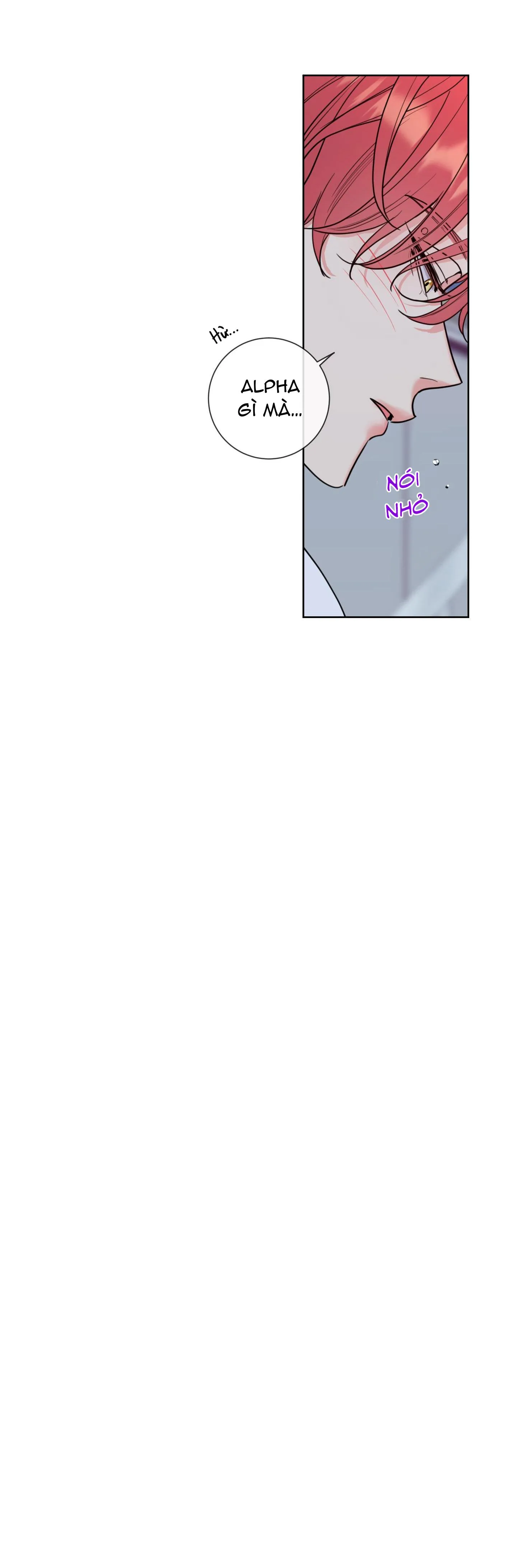 MẬT ONG NHÀ LÀM Chapter 1 Trang 16