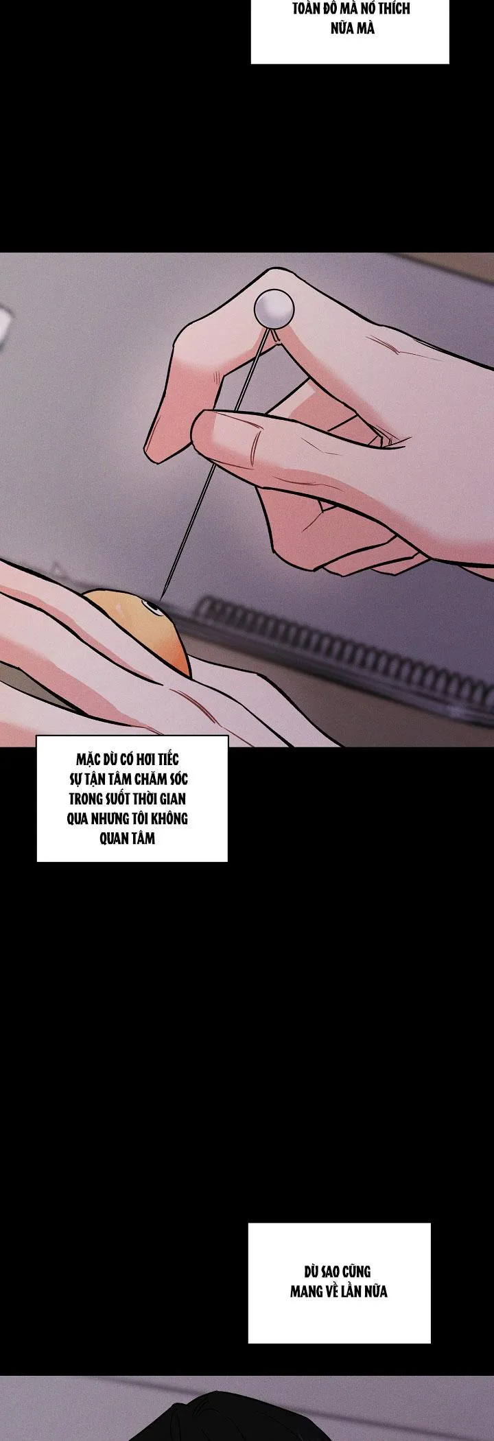 MẶT TRỜI CỦA ĐÊM Chapter 15 Trang 35