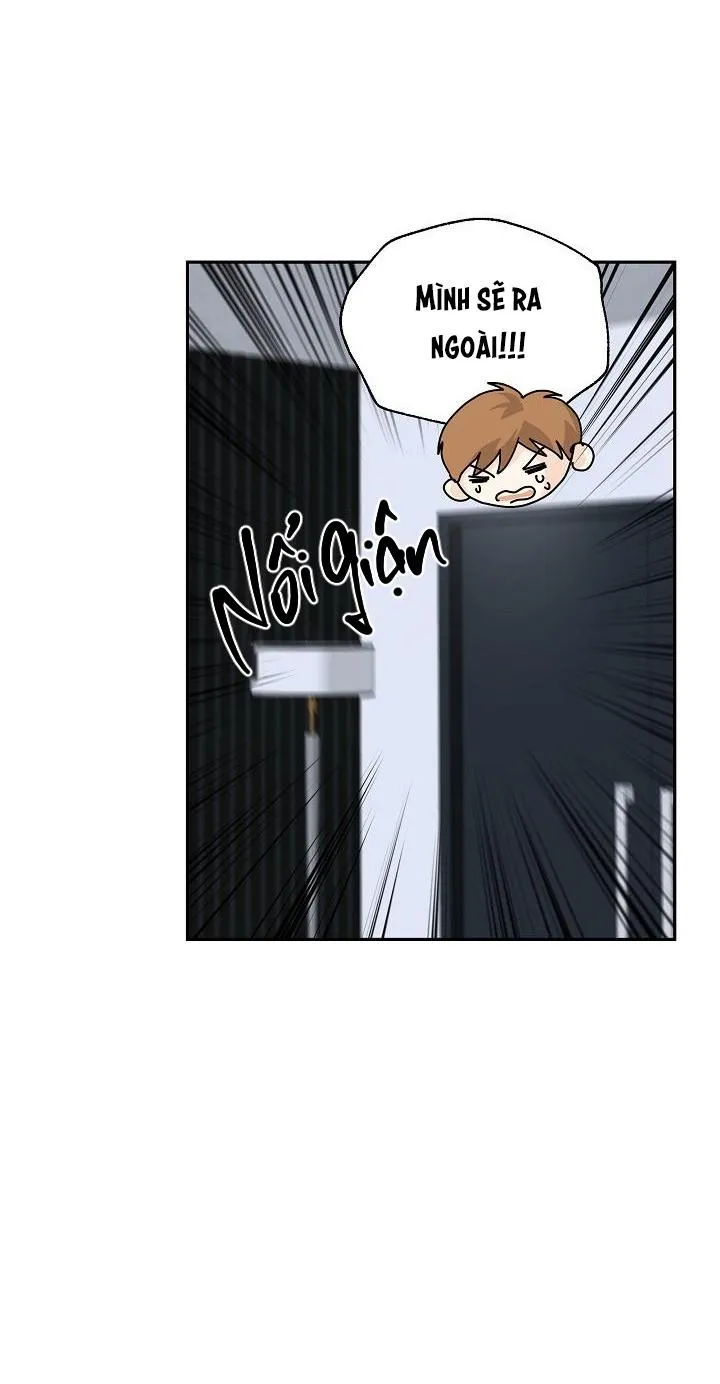 MÁU CỦA TÔI KHÔNG ĐƯỢC ĐÂU Chapter 6 Trang 37