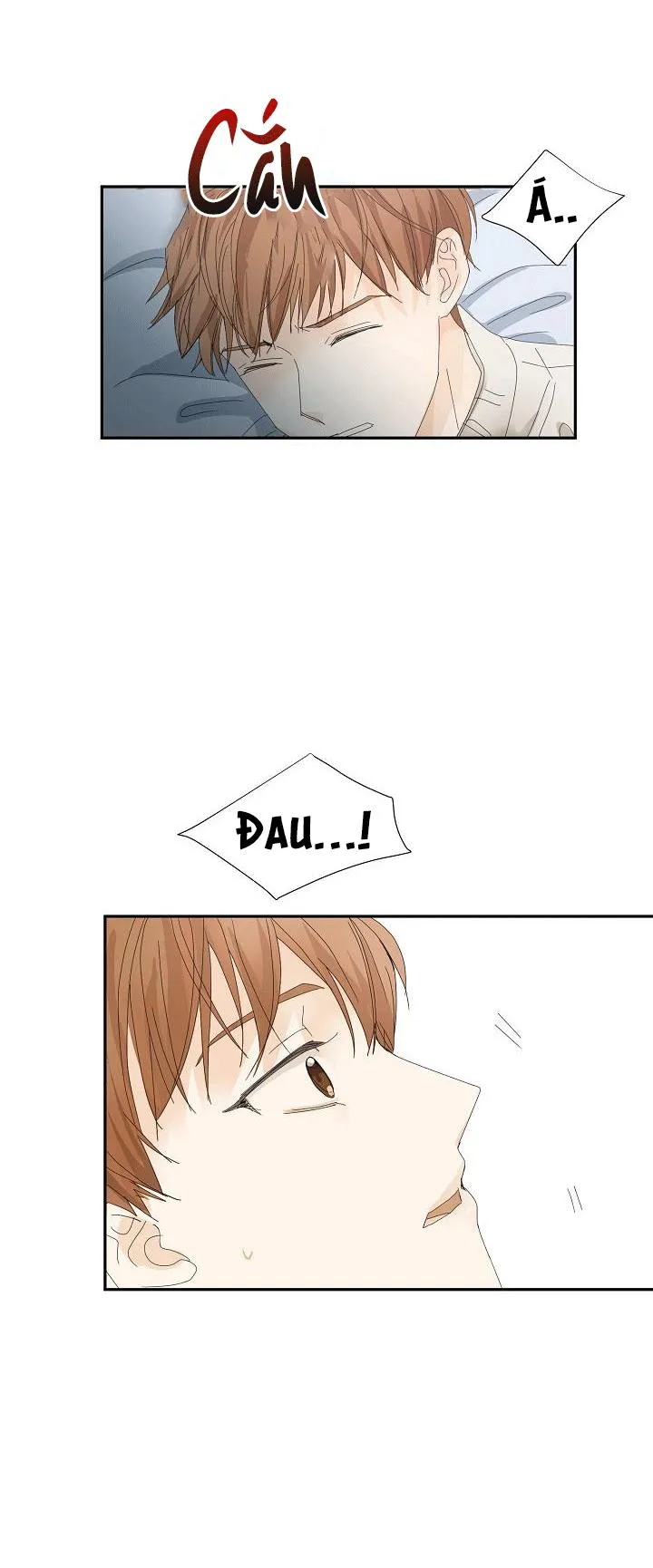MÁU CỦA TÔI KHÔNG ĐƯỢC ĐÂU Chapter 8 Trang 10