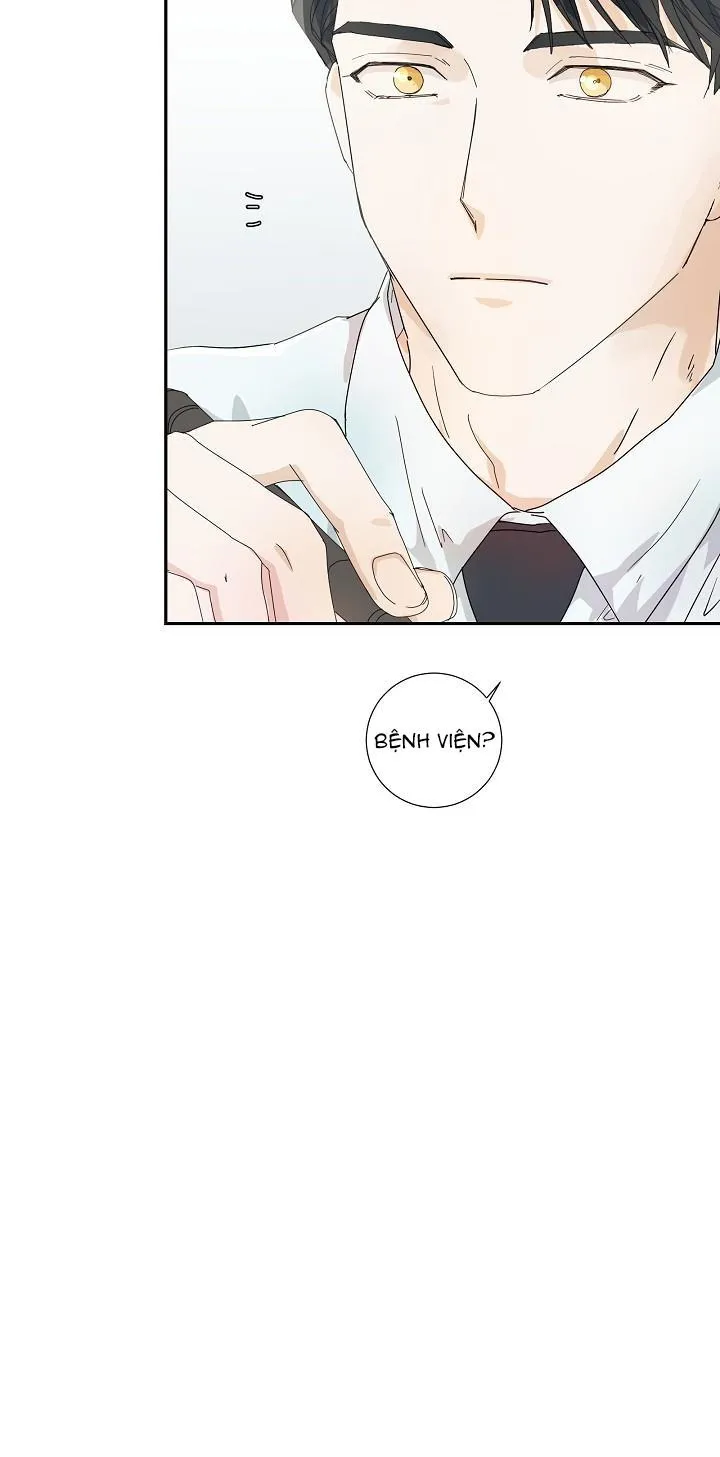 MÁU CỦA TÔI KHÔNG ĐƯỢC ĐÂU Chapter 9 Trang 19