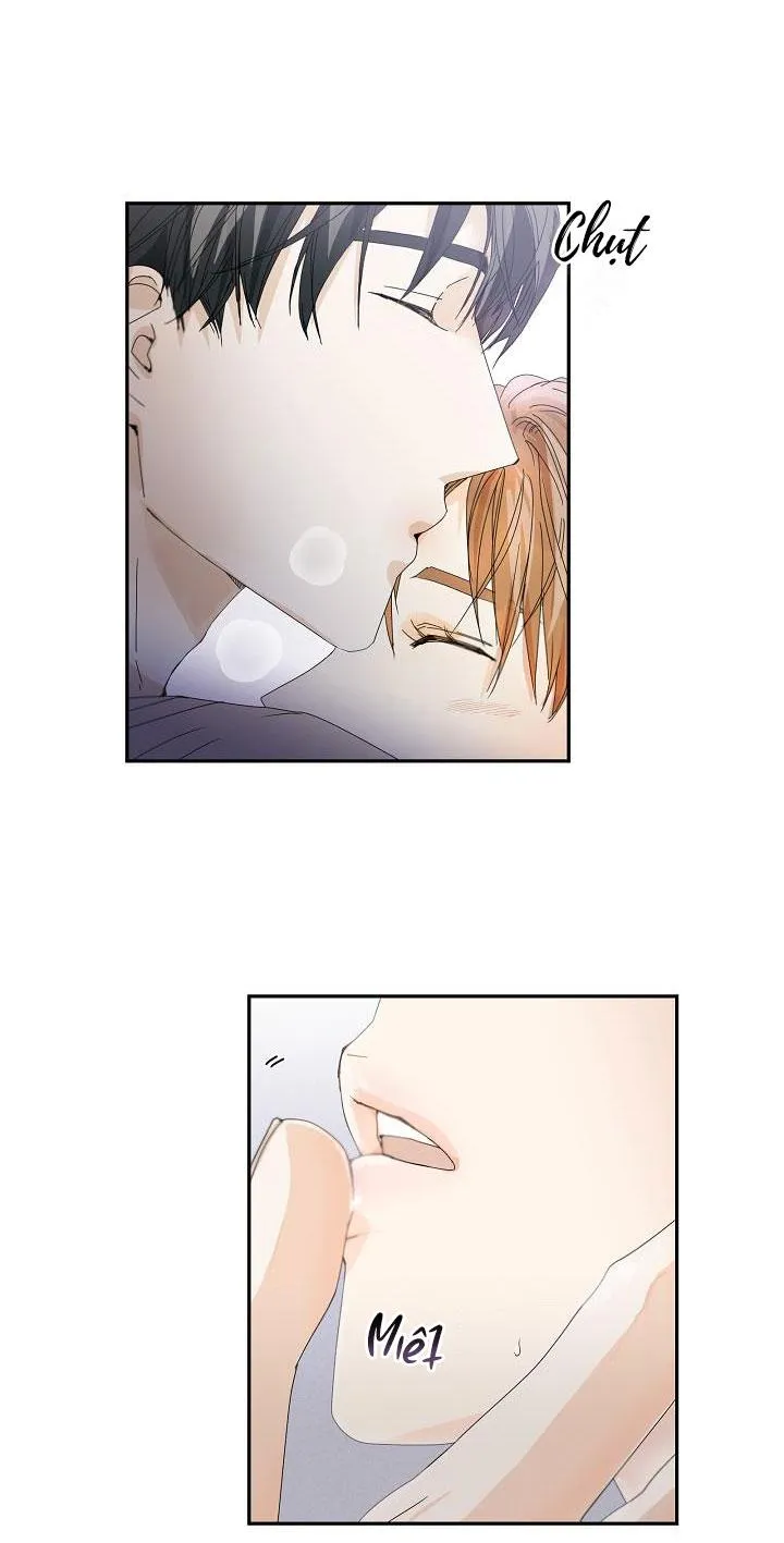 MÁU CỦA TÔI KHÔNG ĐƯỢC ĐÂU Chapter 12 Trang 8